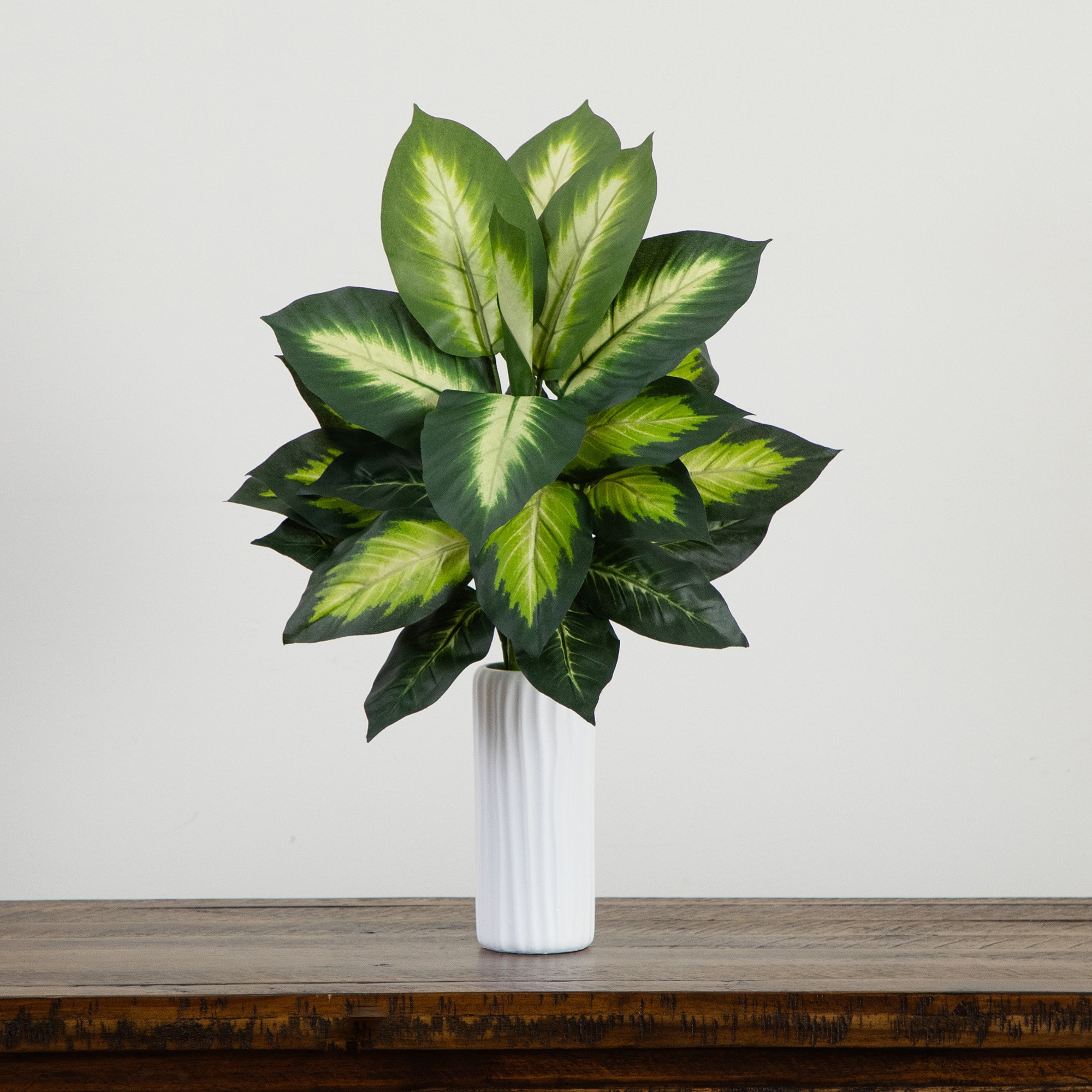 20" Artificial Golden Dieffenbachia Plant, 6ct.
