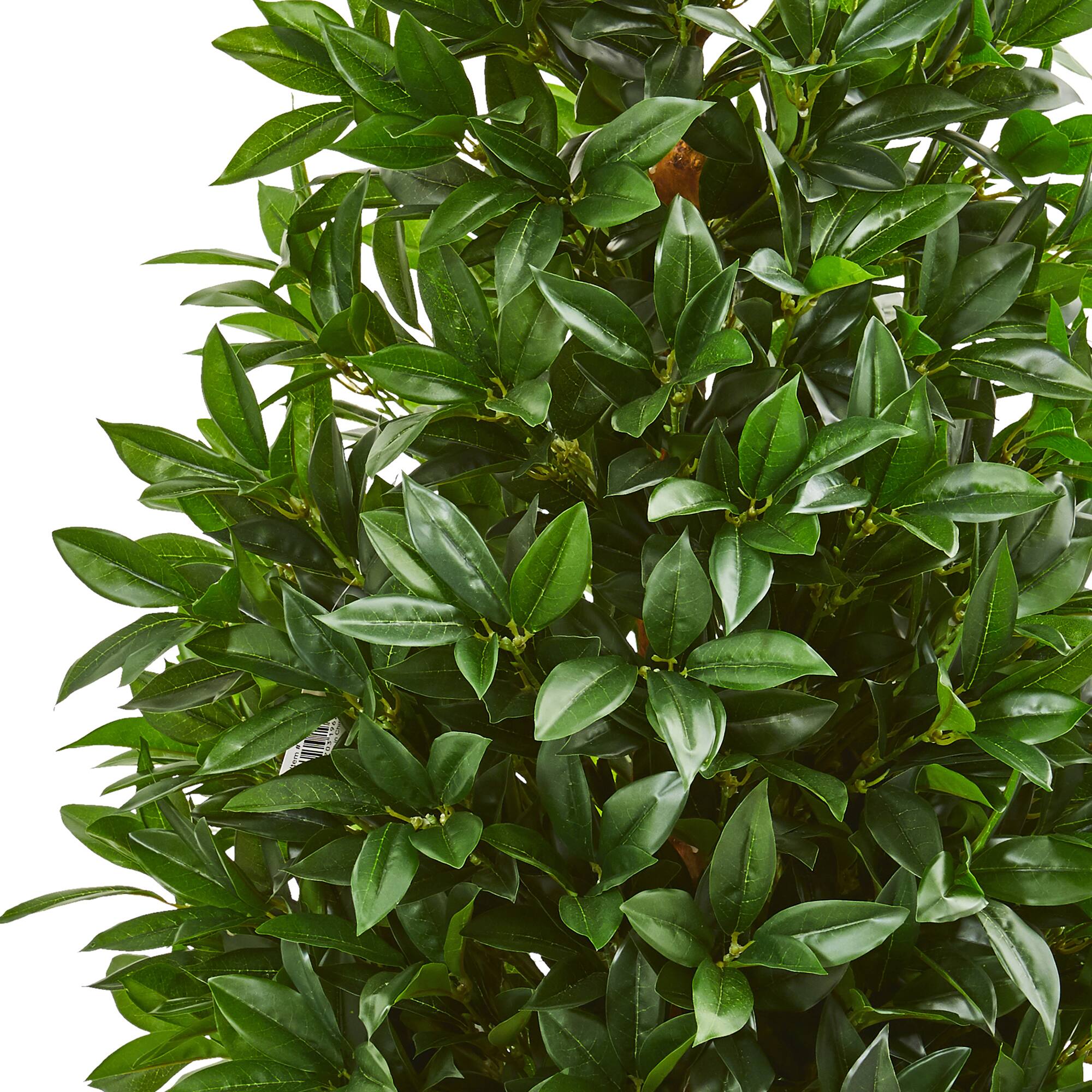 4ft. Potted Bay Leaf Topiary Tree