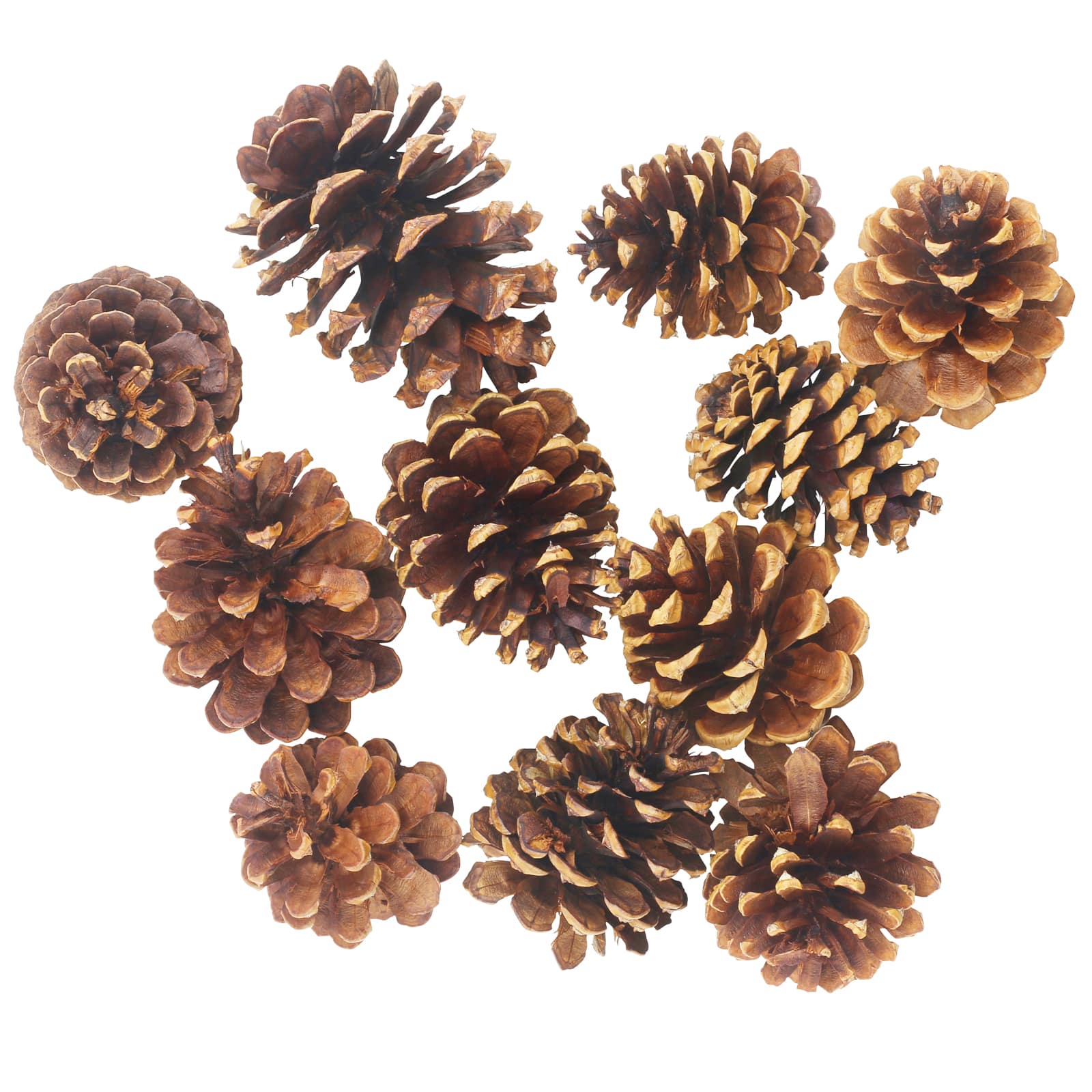 7oz. Cinnamon Scented Pinecones by Ashland&#xAE;