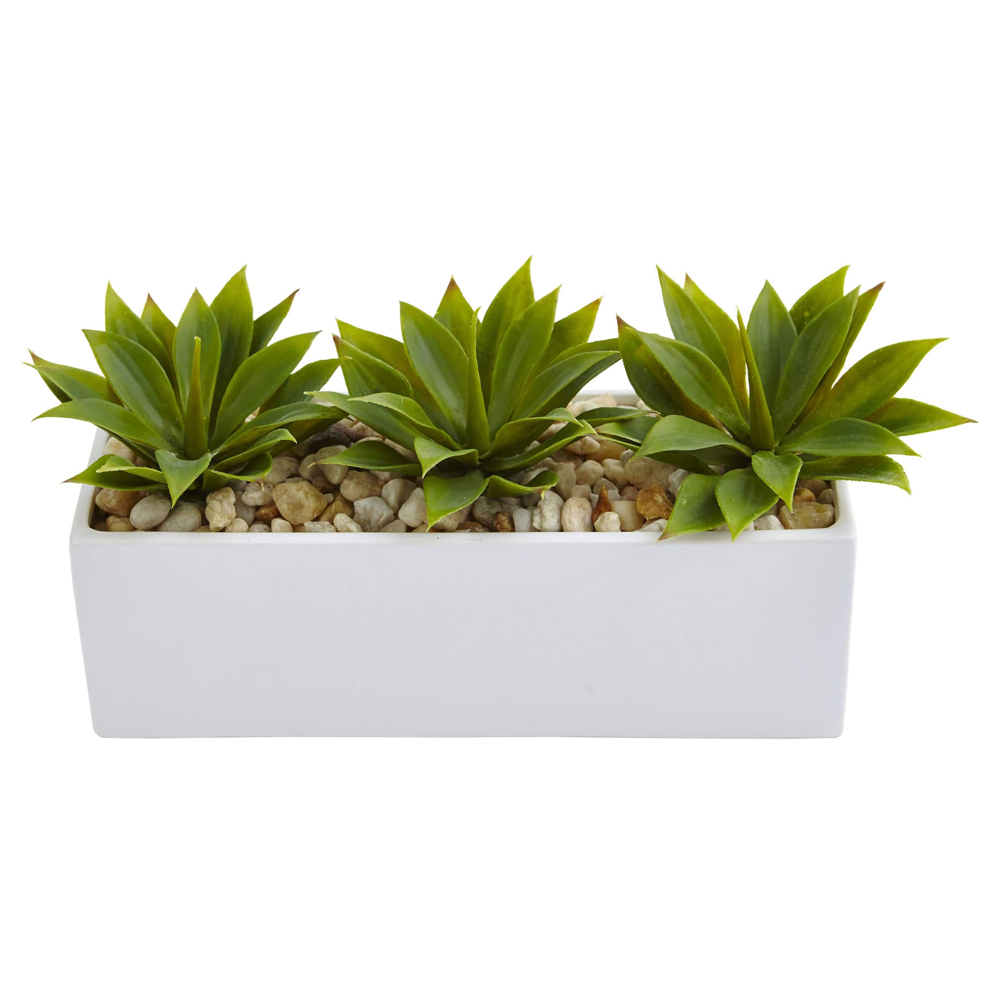 13&#x22; Agave Succulent in White Rectangular Planter