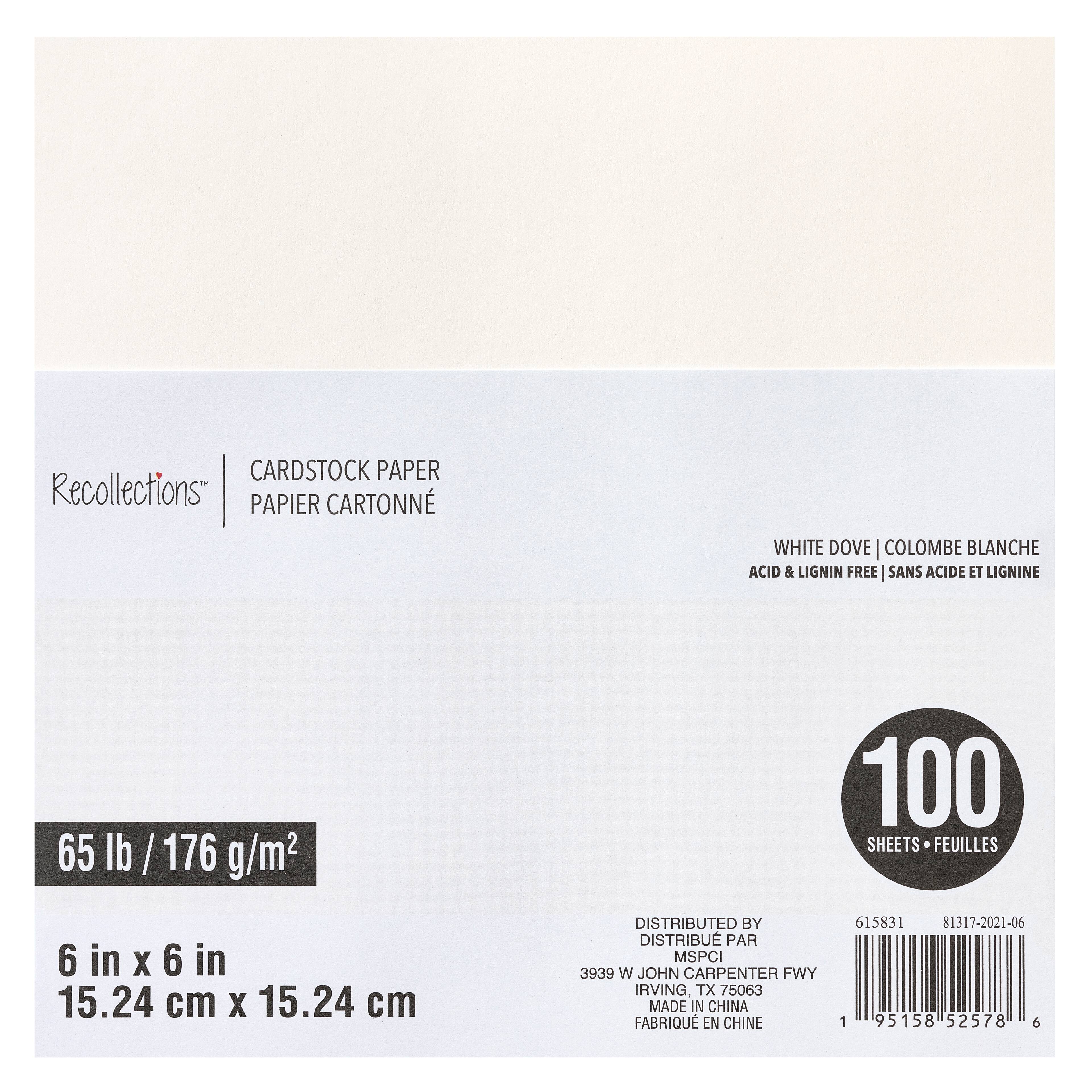 12 Packs: 100 ct. (1,200 total) White Dove 6&#x22; x 6&#x22; Cardstock Paper by Recollections&#x2122;