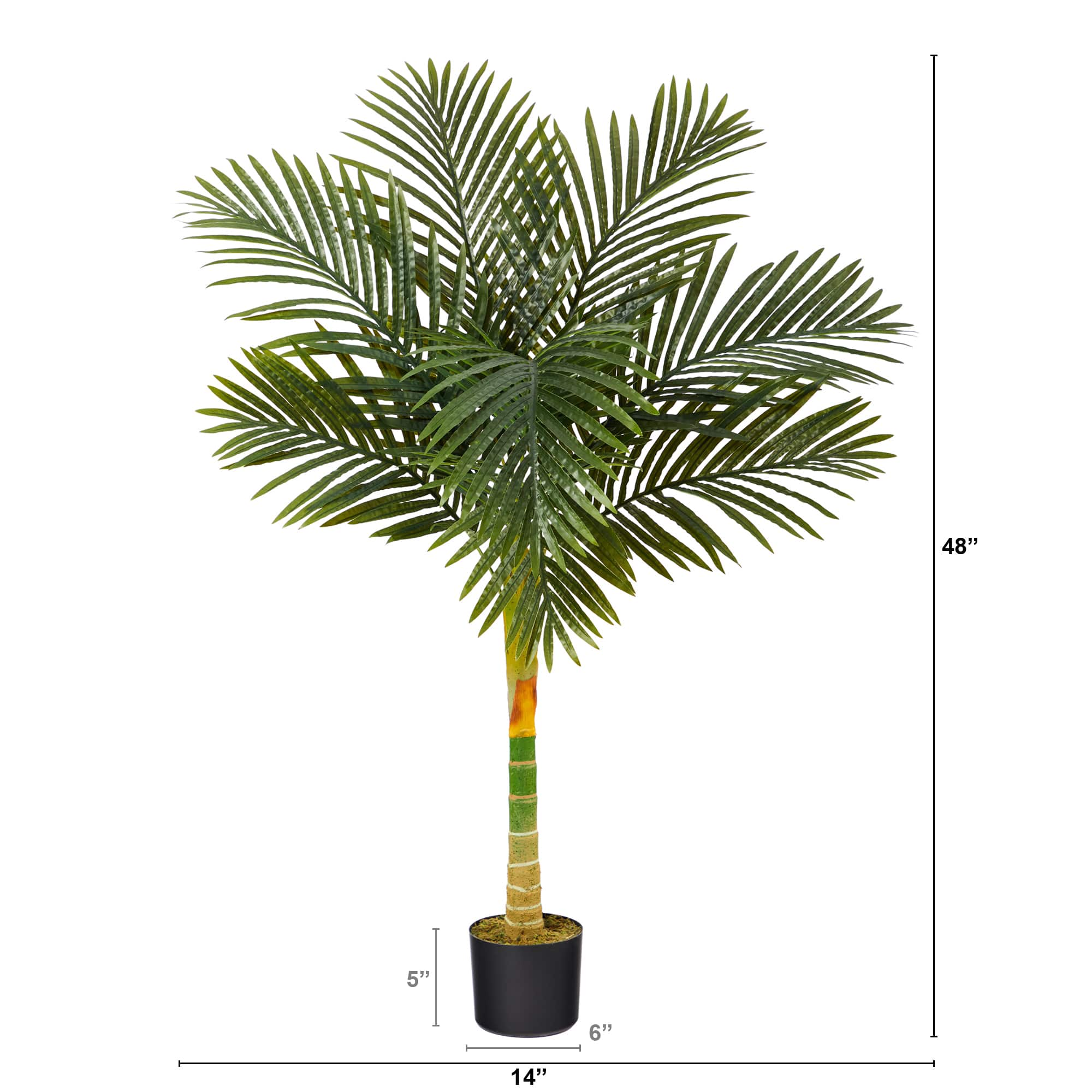 4ft. Potted Golden Cane Palm Tree