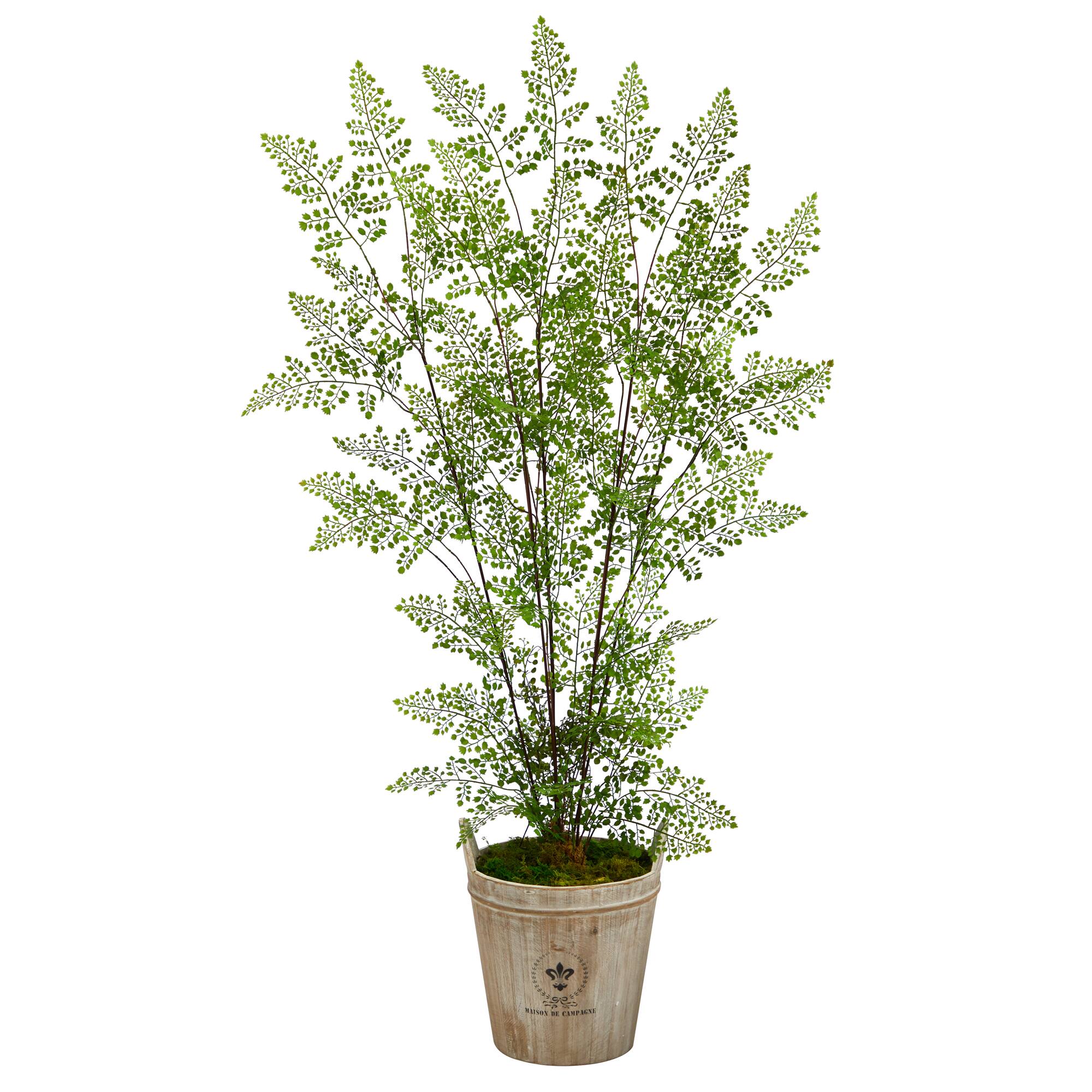 5.5ft. Ruffle Fern Artificial Tree in Farmhouse Planter