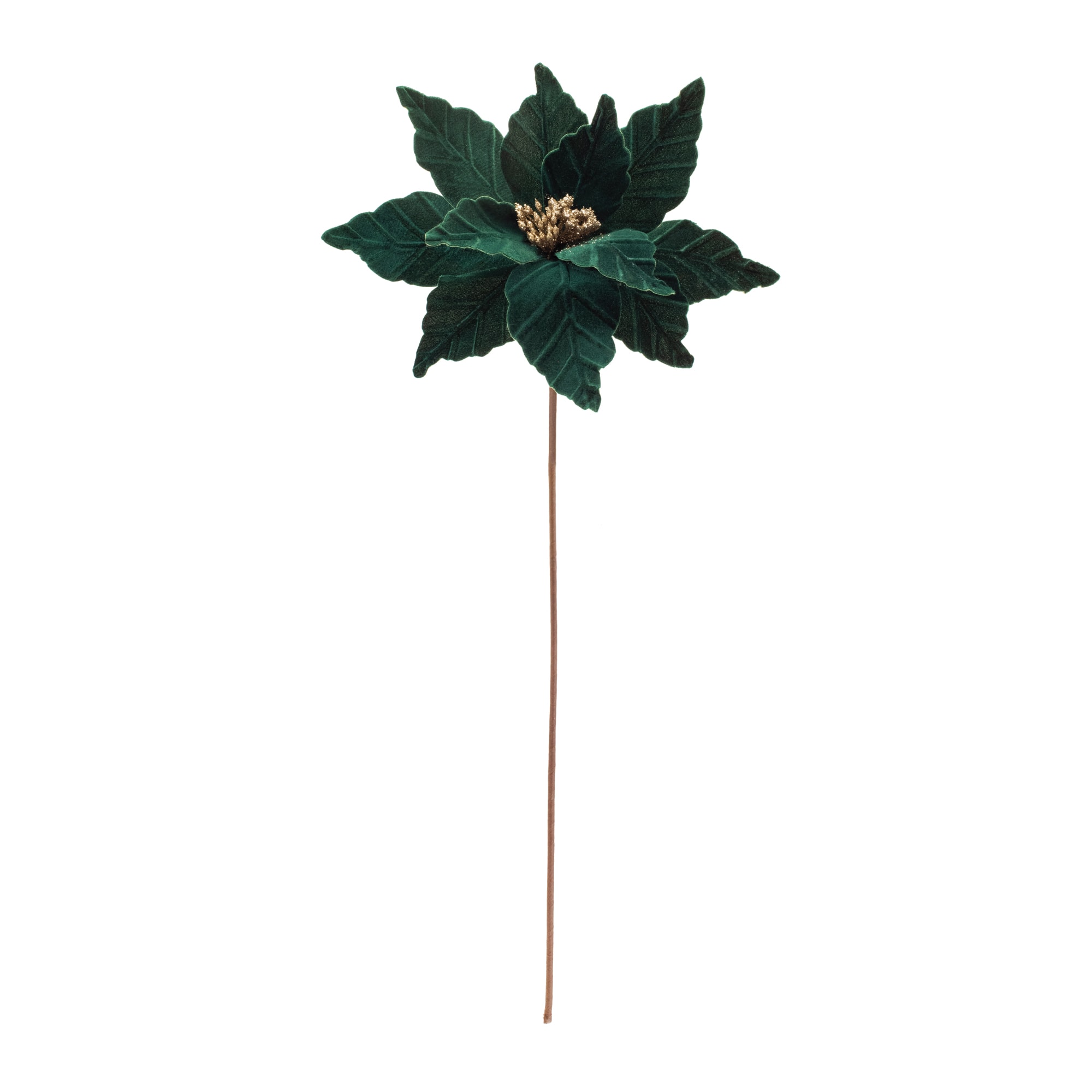 Forest Green Poinsettia Stems, 6ct.