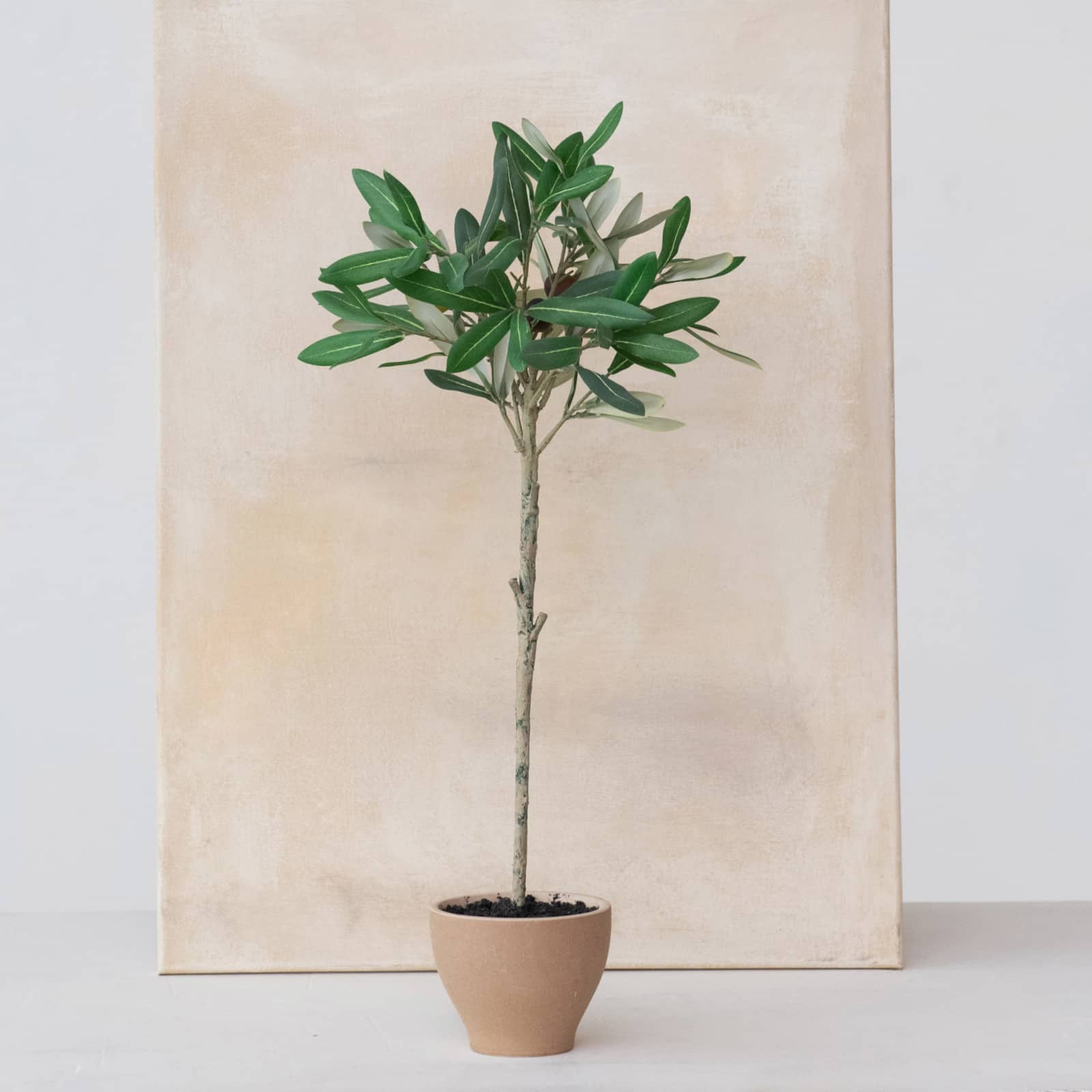 Hello Honey® 20.75" Evergreen Faux Olive Topiary Tree in Dolomite Pot