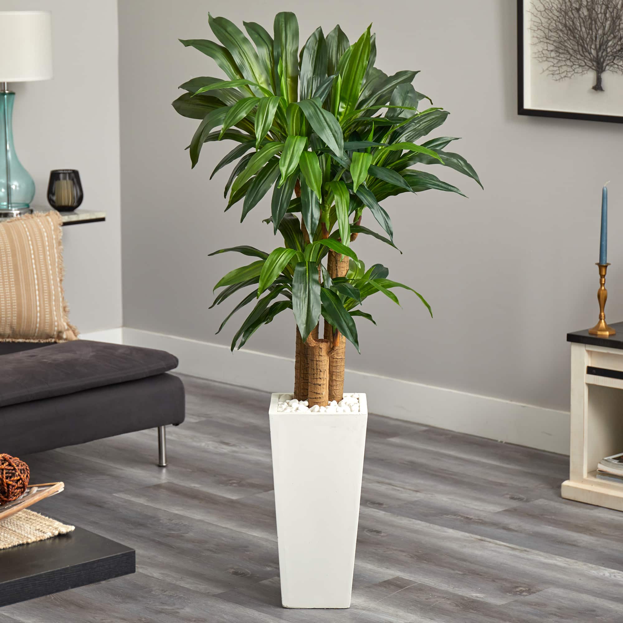 5ft. Cornstalk Dracaena Plant in White Tower Planter