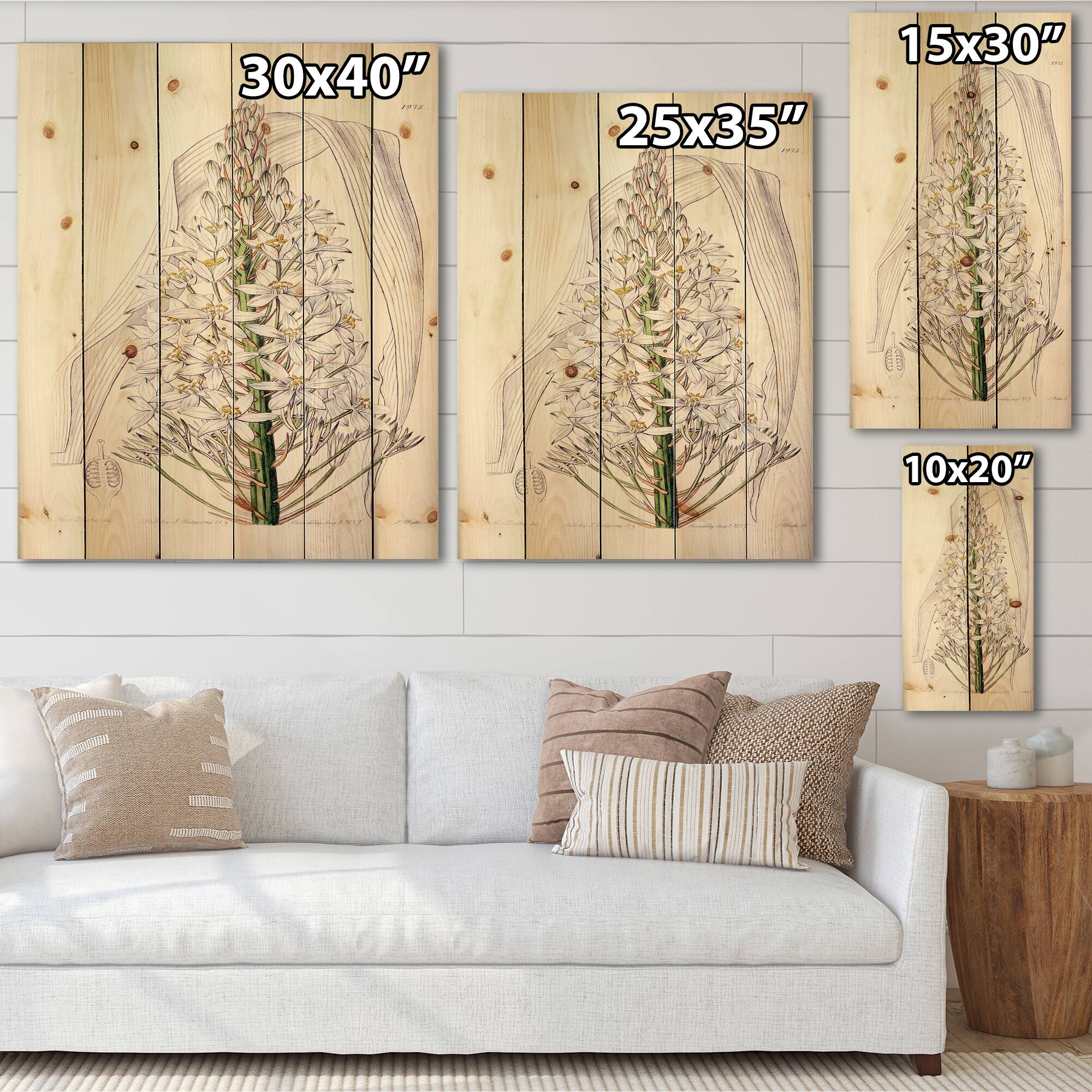 Designart - Vintage White Orchid I - Traditional Print on Natural Pine Wood