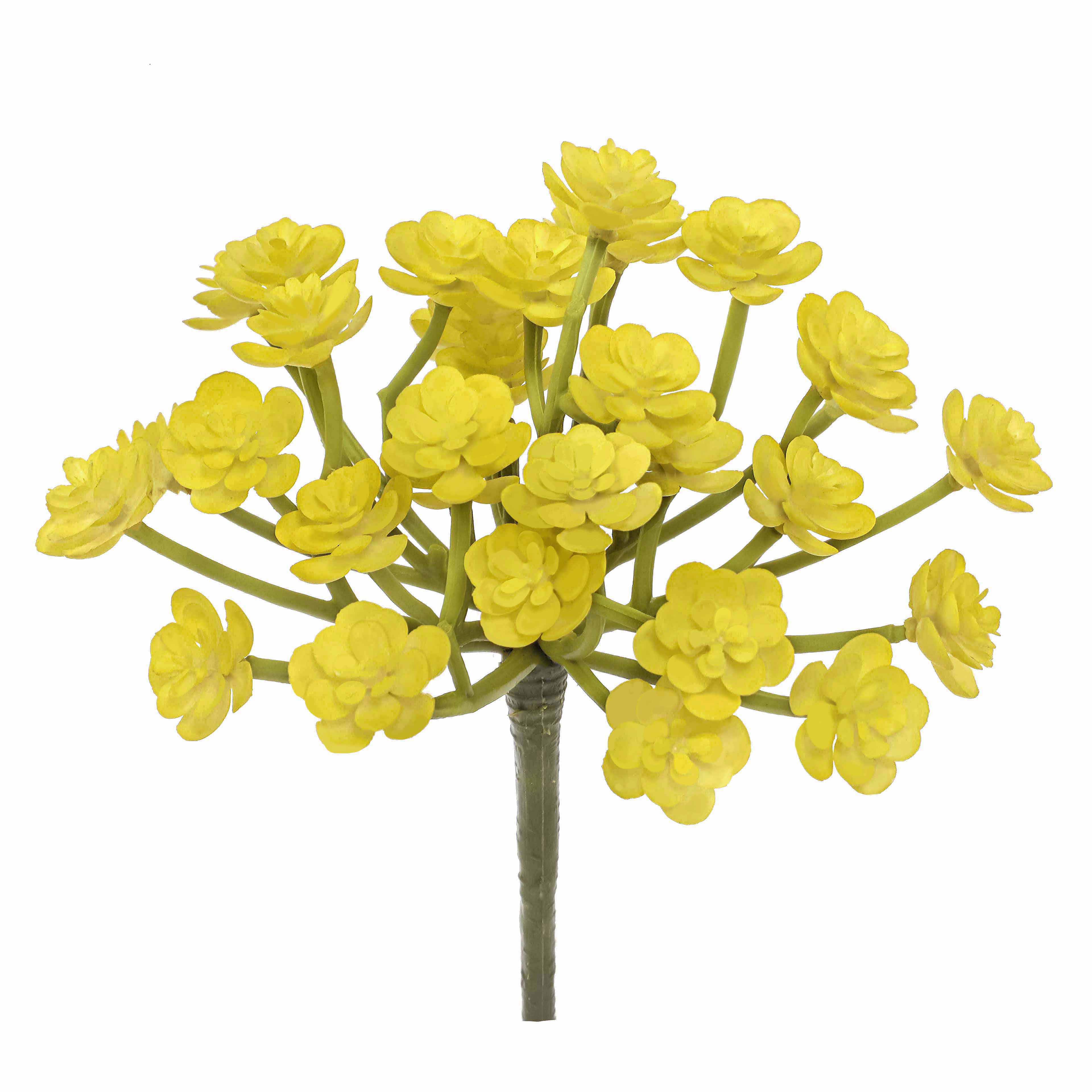 7&#x22; Yellow Echeveria Pick by Ashland&#xAE;
