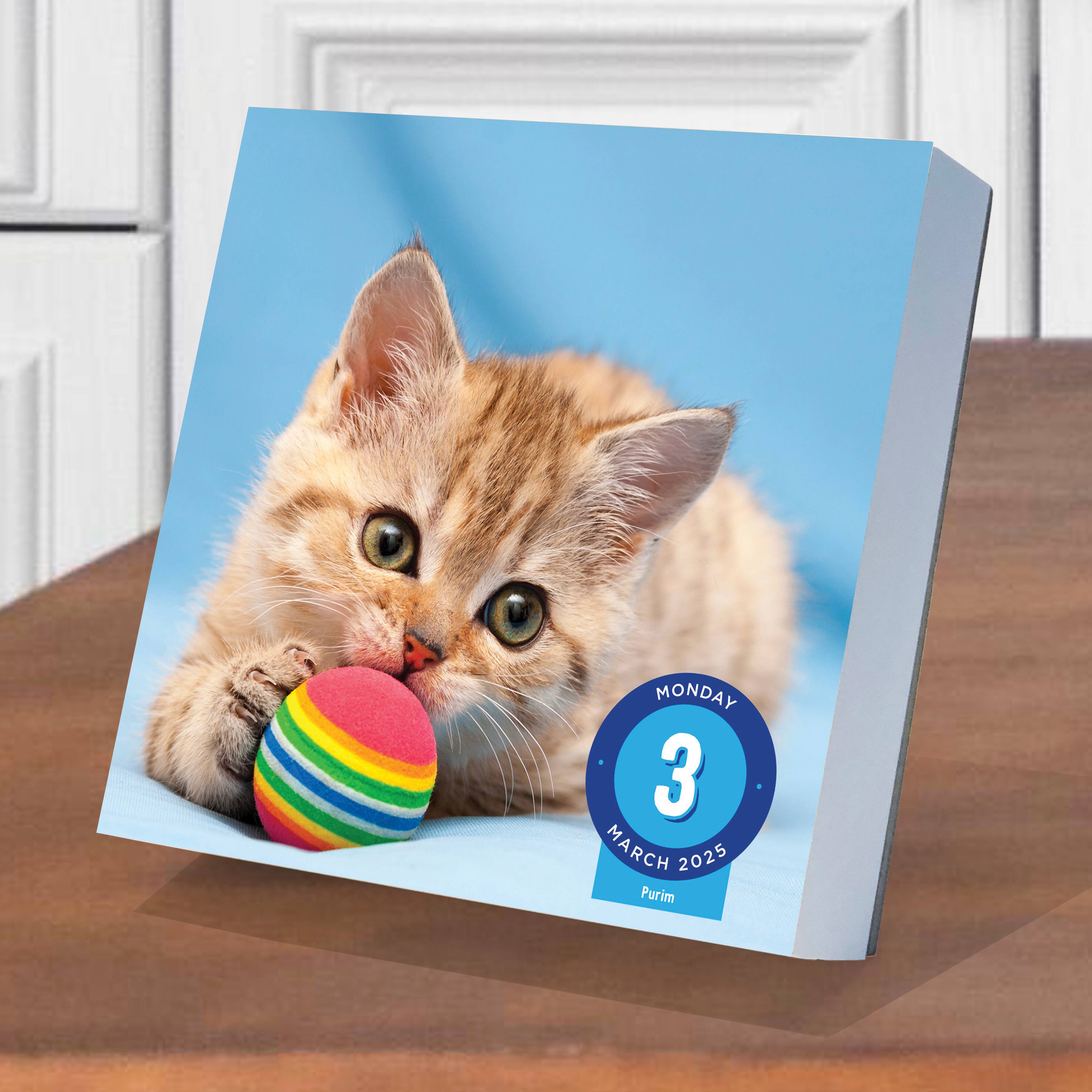 TF Publishing 2025 Cat A Day Daily Desktop Calendar