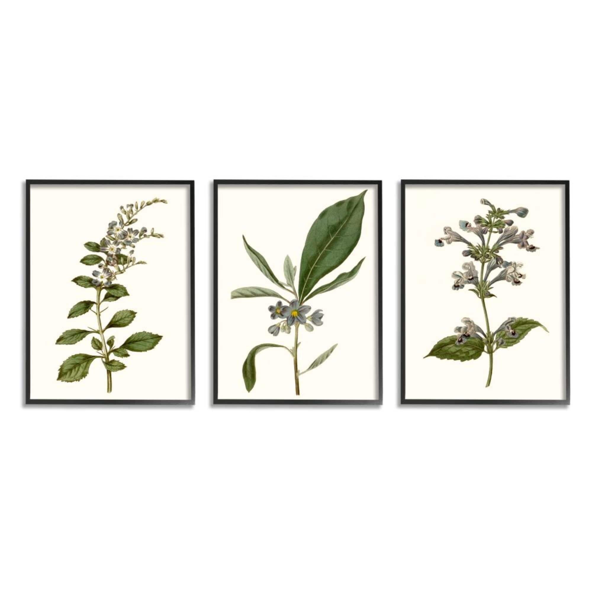 Stupell Industries Minimal Blue Botanical Study Over Neutral Beige in Black Frame Wall Art