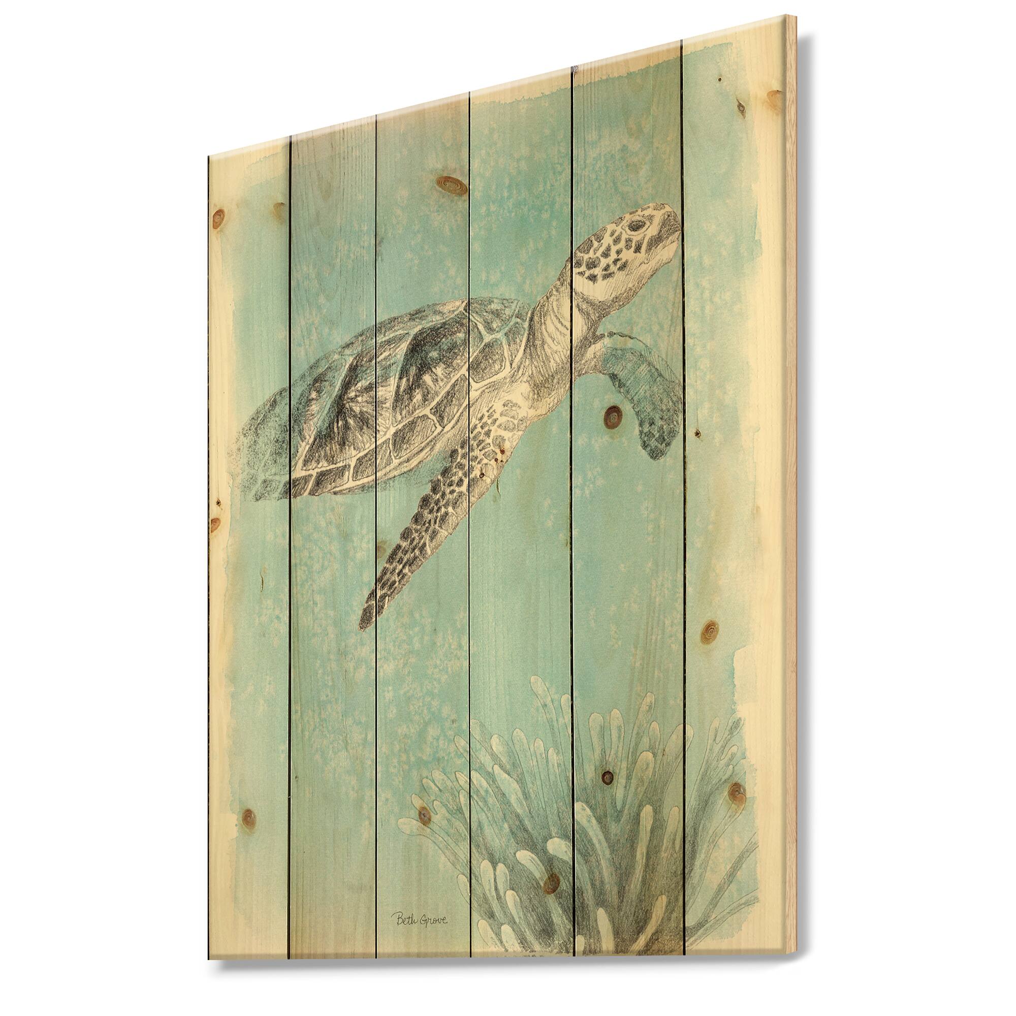 Designart - Coastal Sea Life I Turtle sketches - Nautical &#x26; Coastal Print on Natural Pine Wood