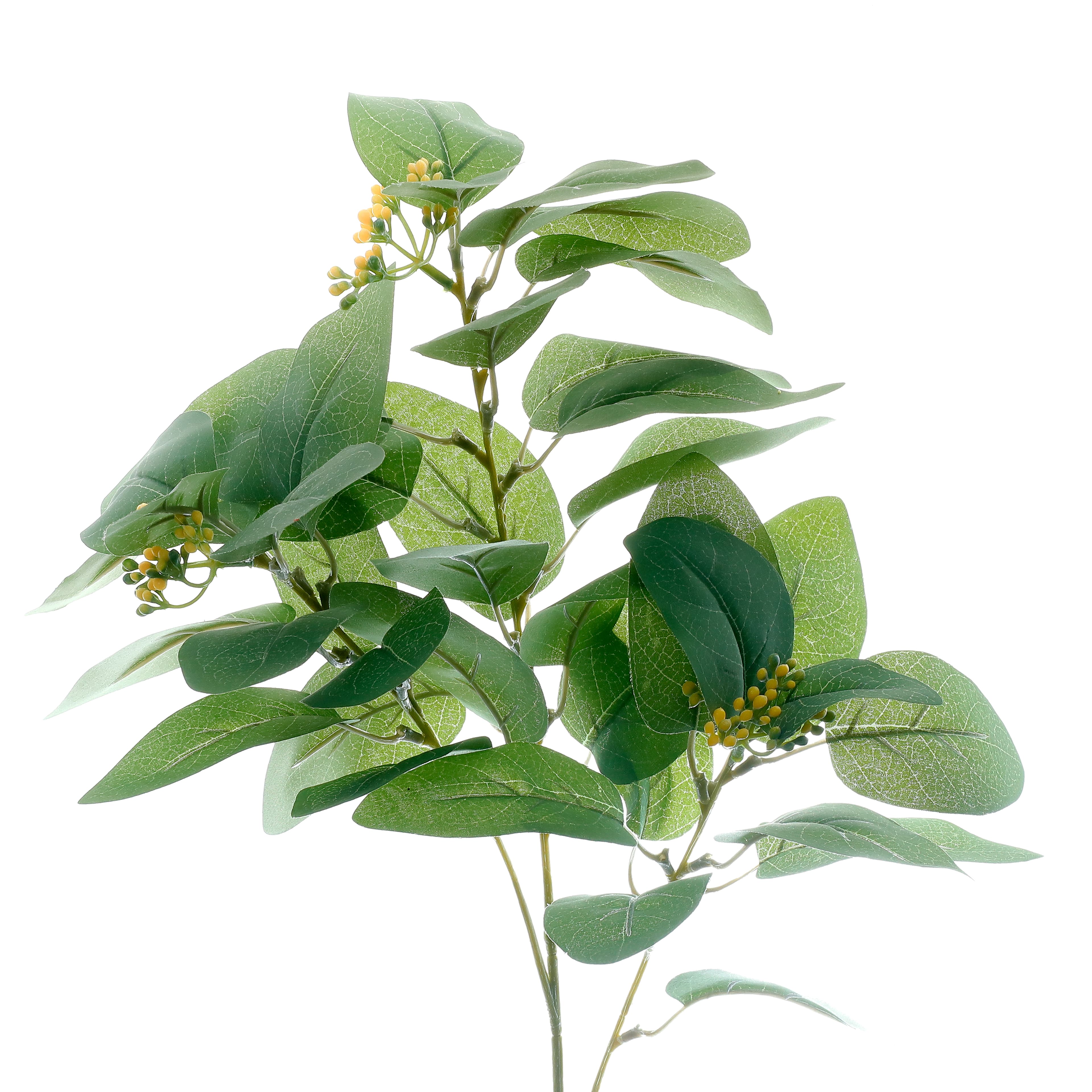 27.75&#x22; Eucalyptus with Yellow Berries Stem by Ashland&#xAE;