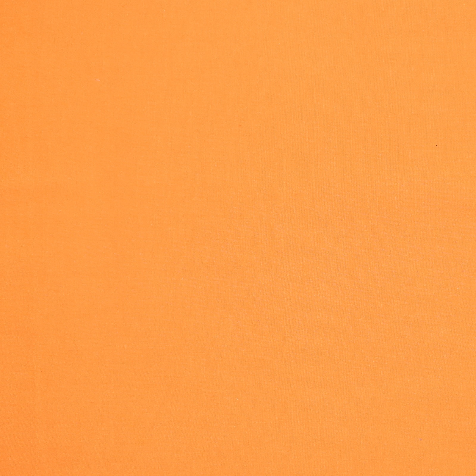 solid light orange background