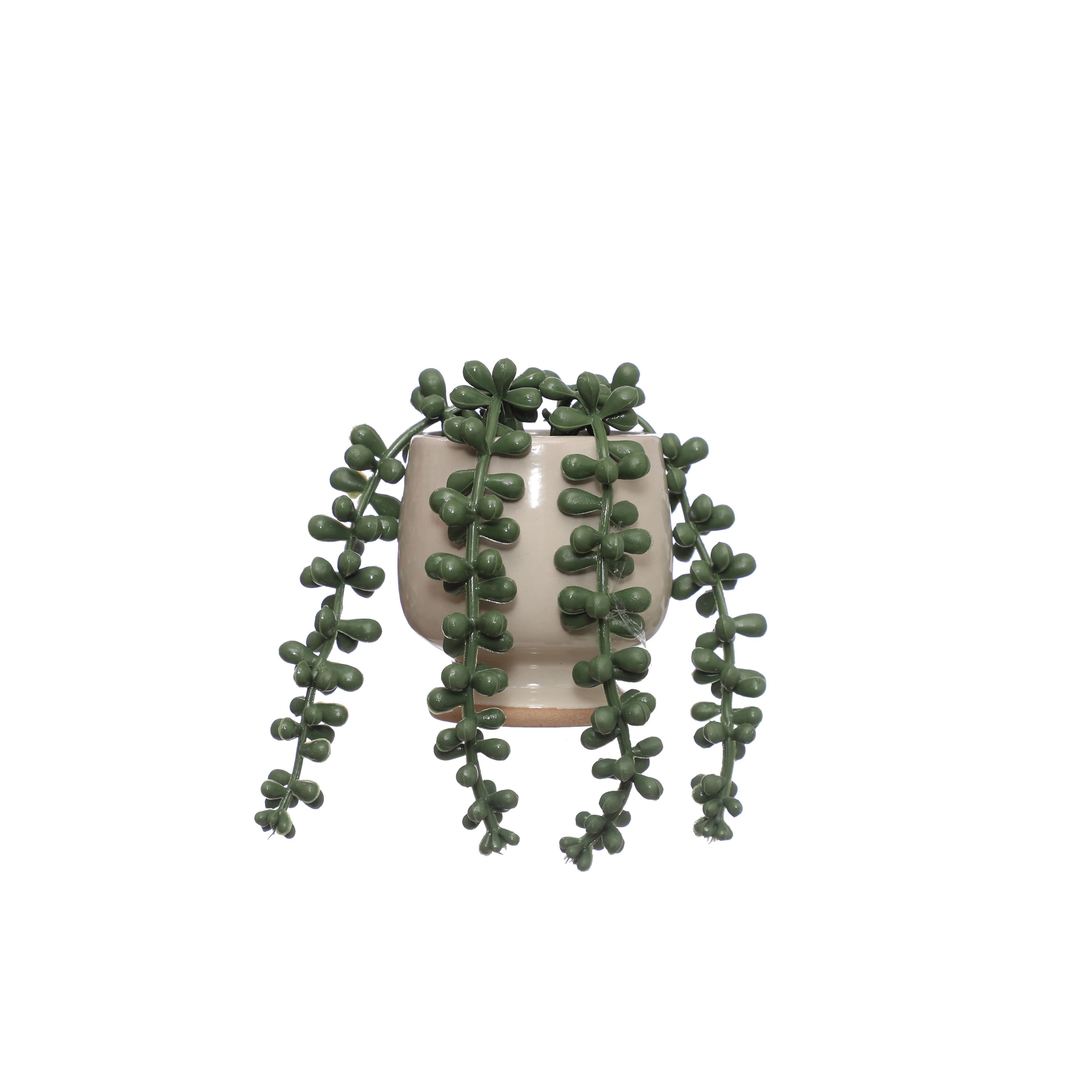 3.75&#x22; Succulent in Face Planter by Ashland&#xAE;