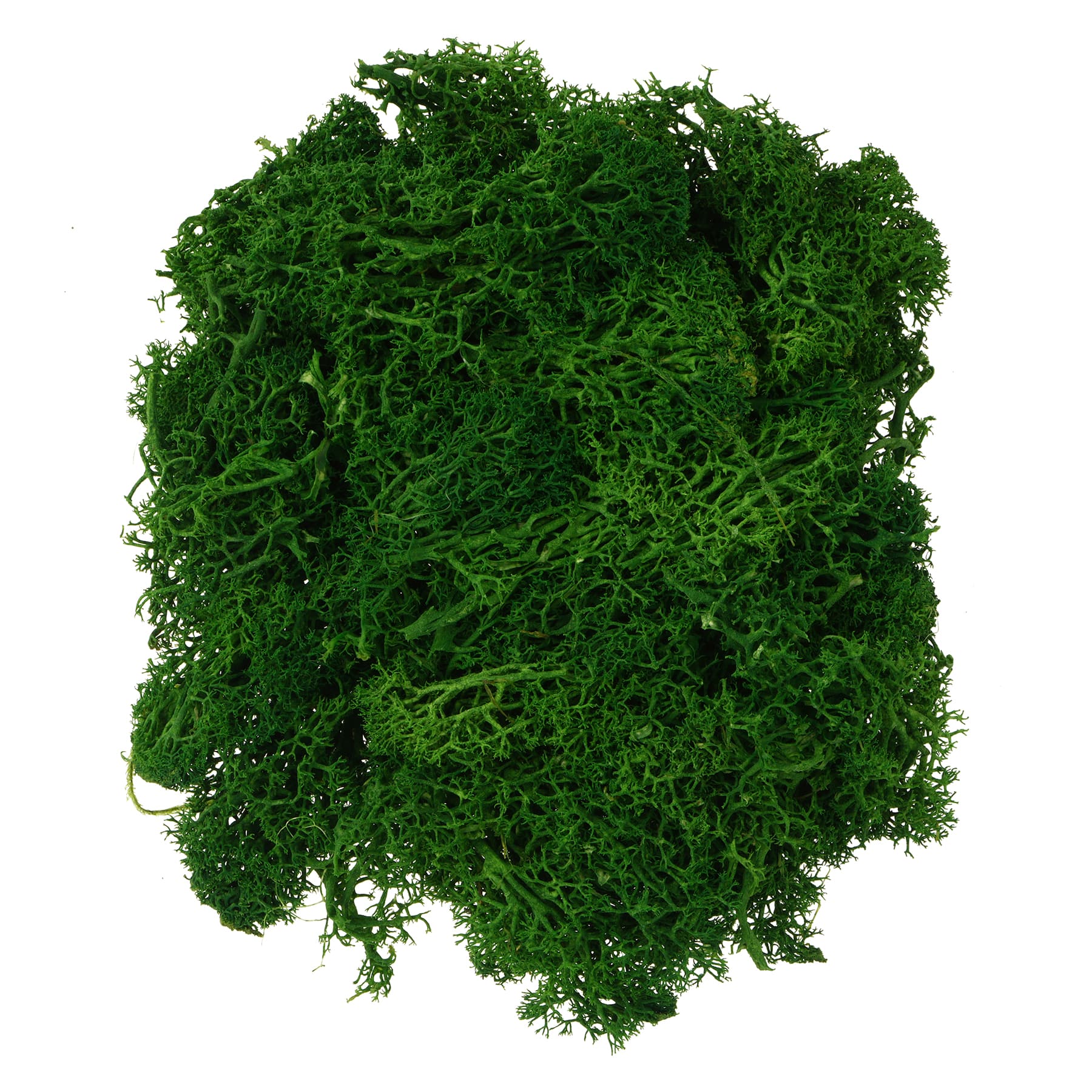 1.7oz. Moss by Ashland&#xAE;