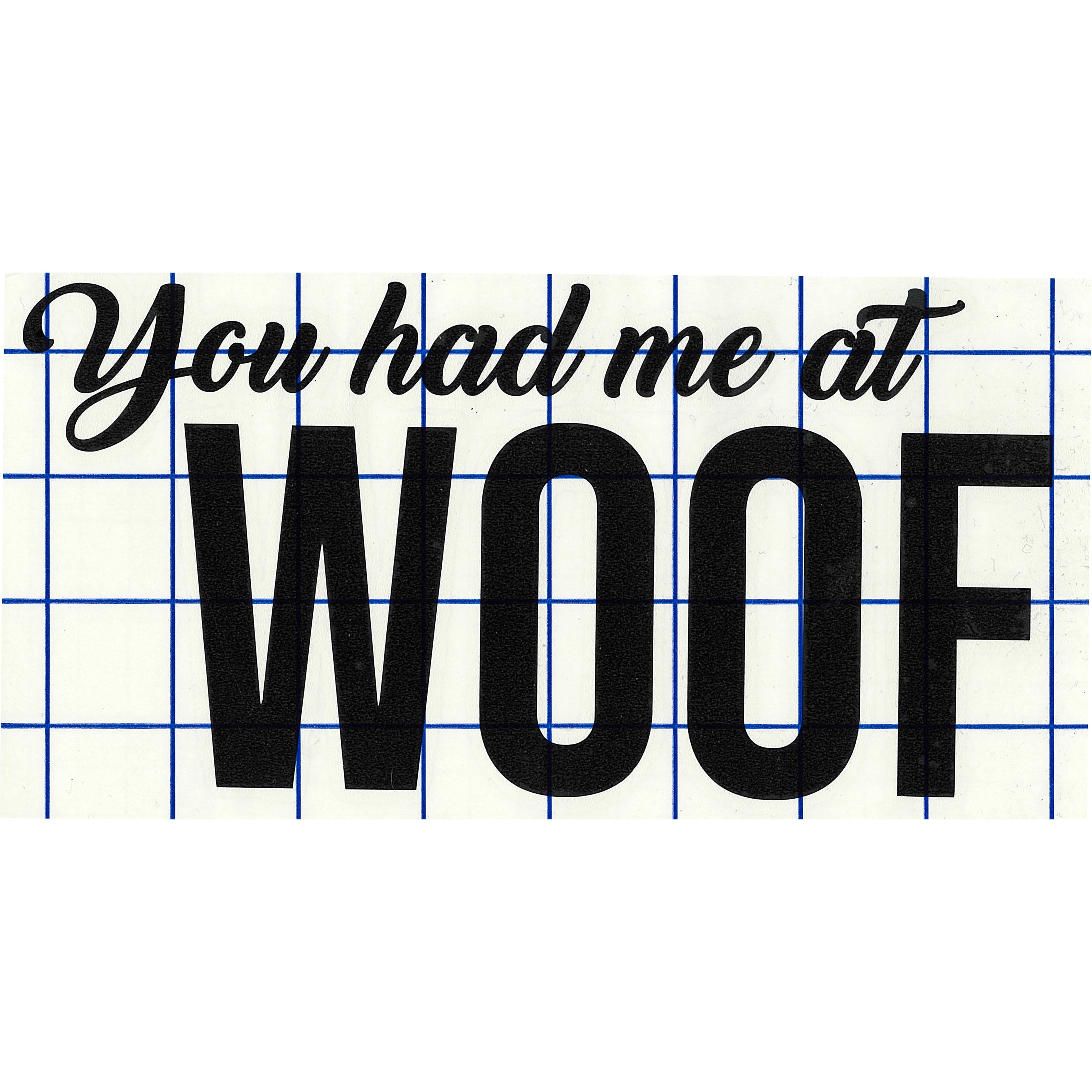 Leisure Arts&#xAE; Vinyl Matte Black You Had Me at Woof Decal