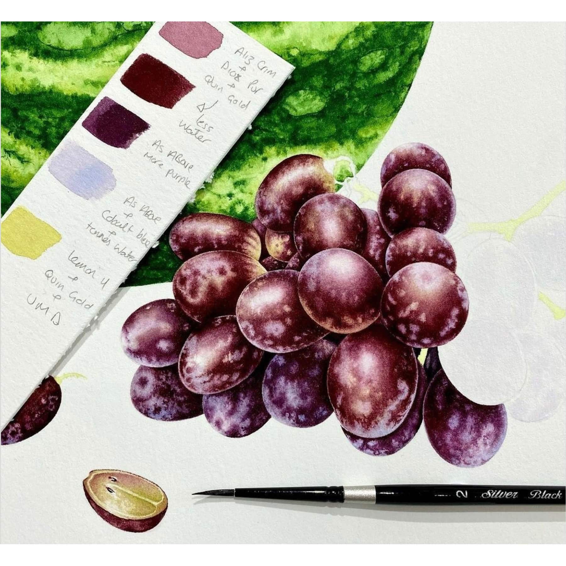 Silver Brush Limited Black Velvet® Medium Round Brushes Set