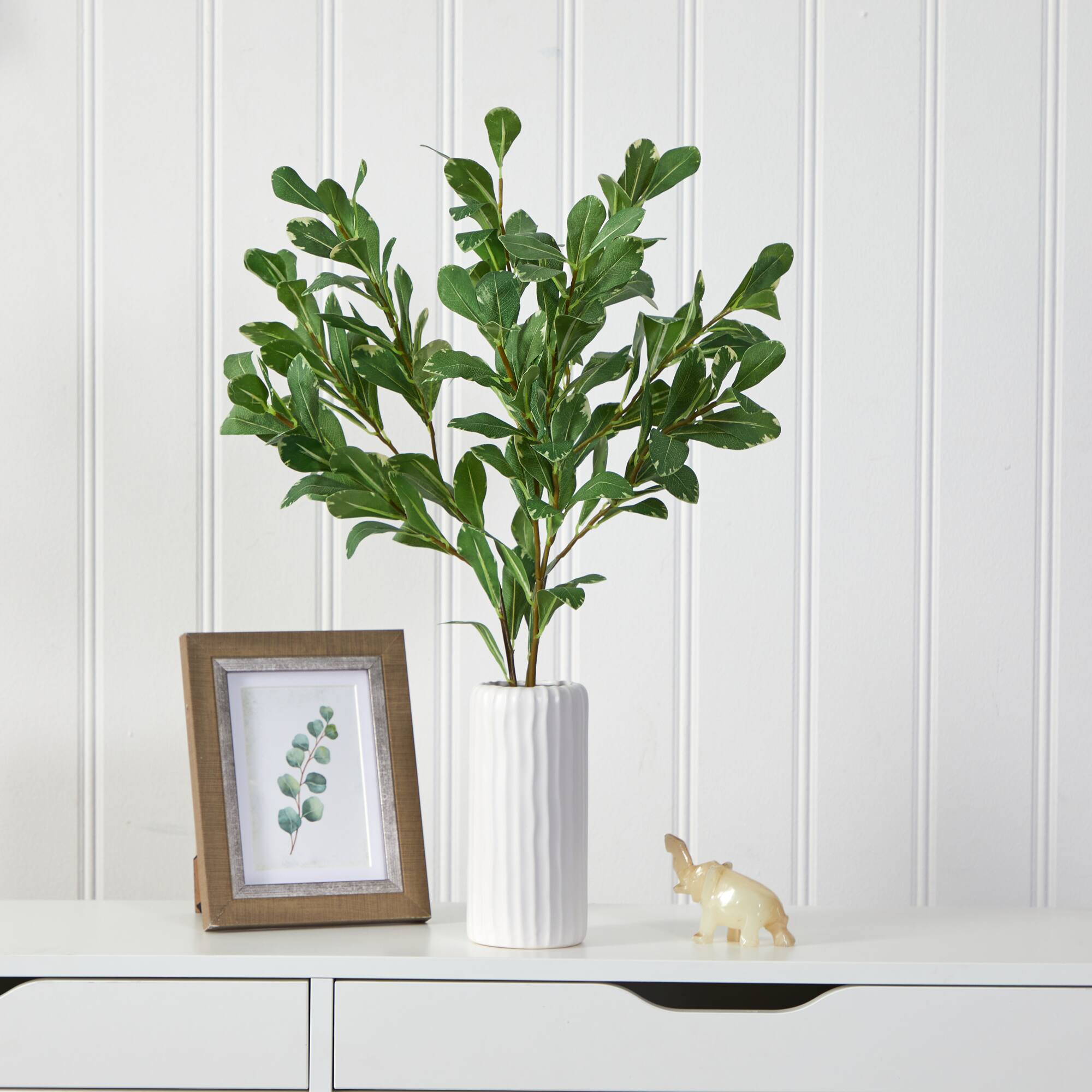 21" Salal Plant in Decorative White Planter