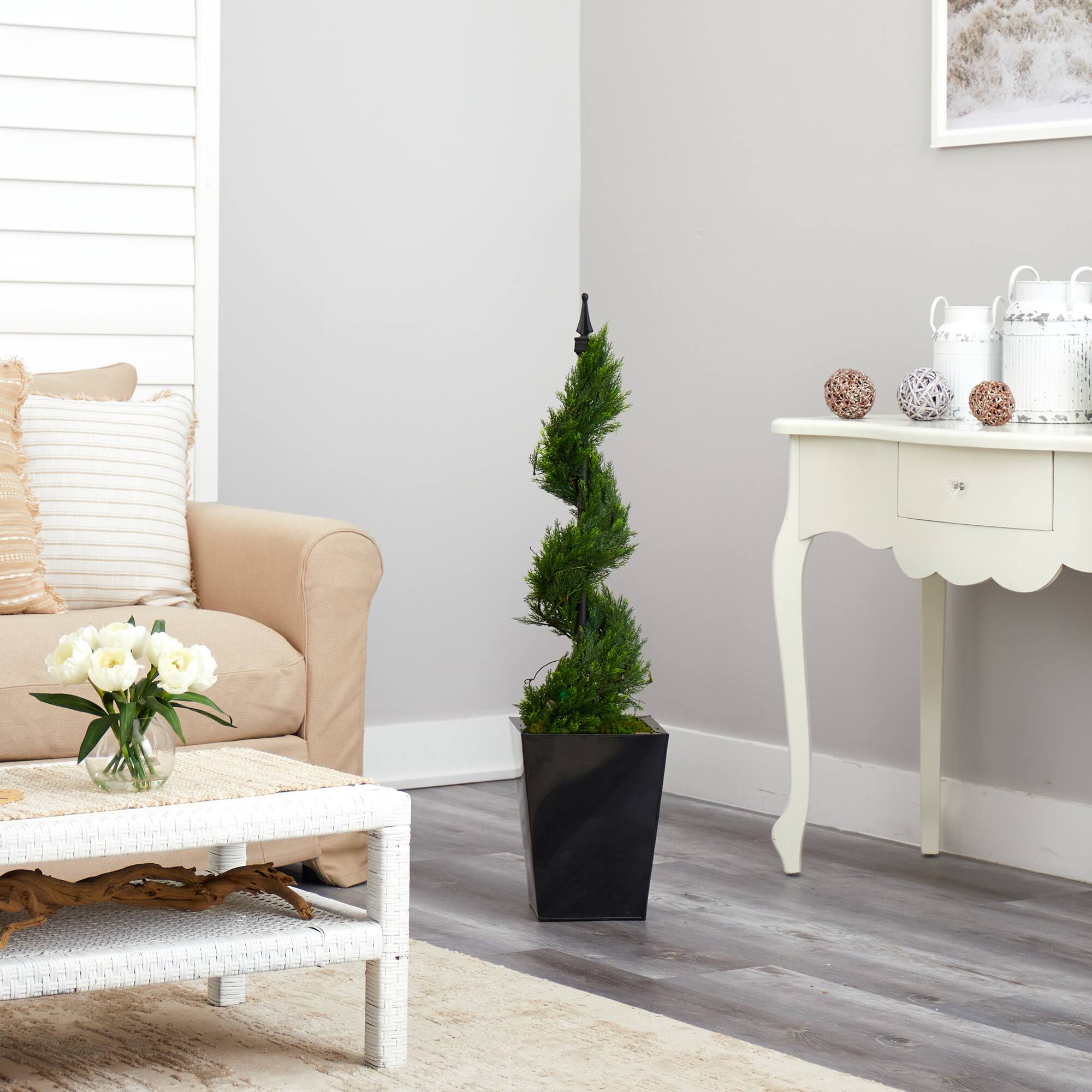 3.6ft. Spiral Cypress Topiary in Black Metal Planter