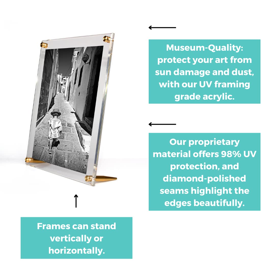 Wexel Art Clear Acrylic Tabletop Floating Picture Frame with Gold Hardware