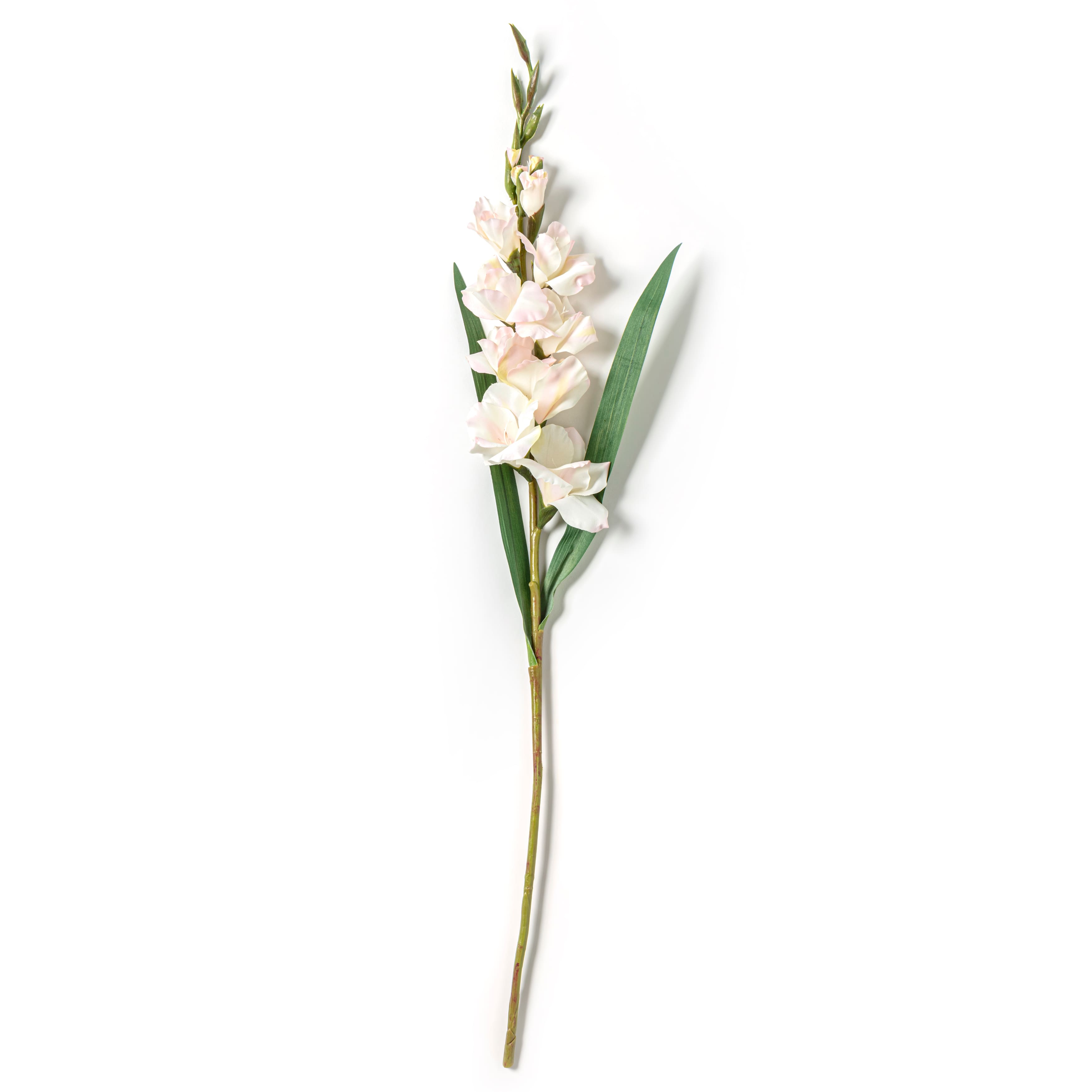 12 Pack: White Gladiolus Stem by Ashland®