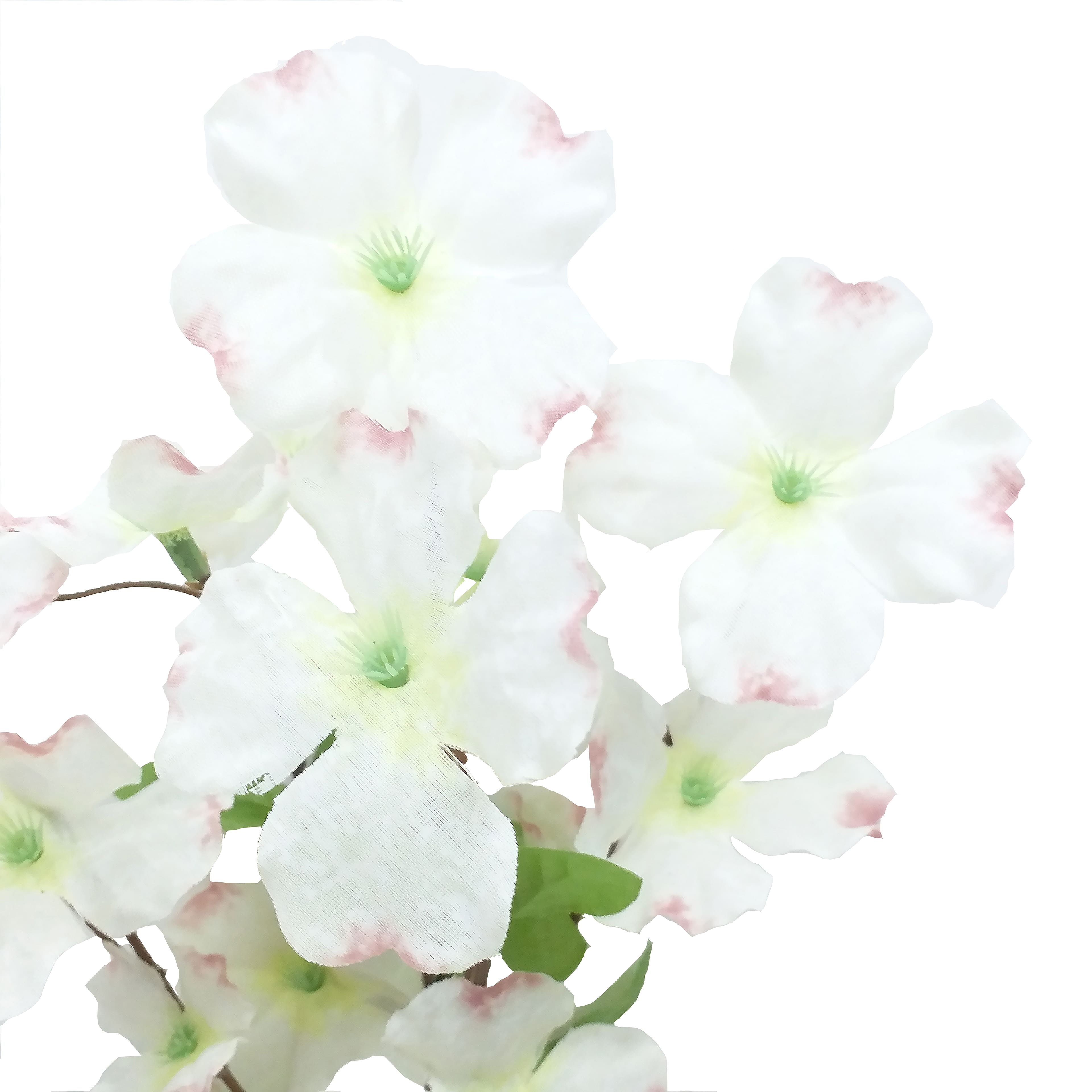 Cream Blossom Bush by Ashland&#xAE;
