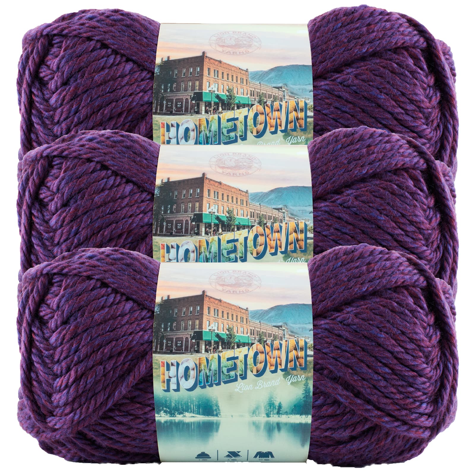 3 Pack Lion Brand&#xAE; Hometown Yarn