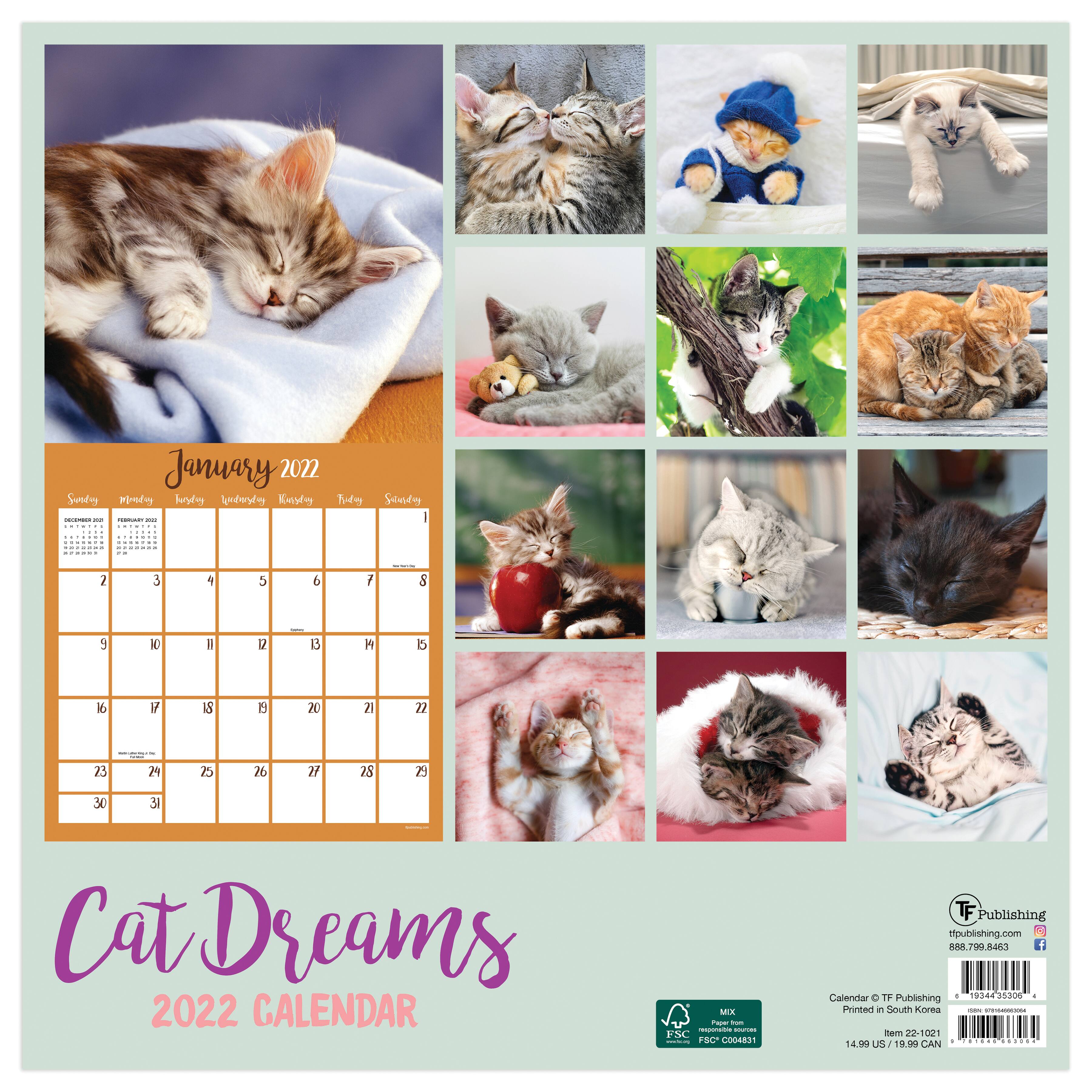 Tf Publishing Cat Dreams Wall Calendar Michaels Cat Dreams Calendar 2022