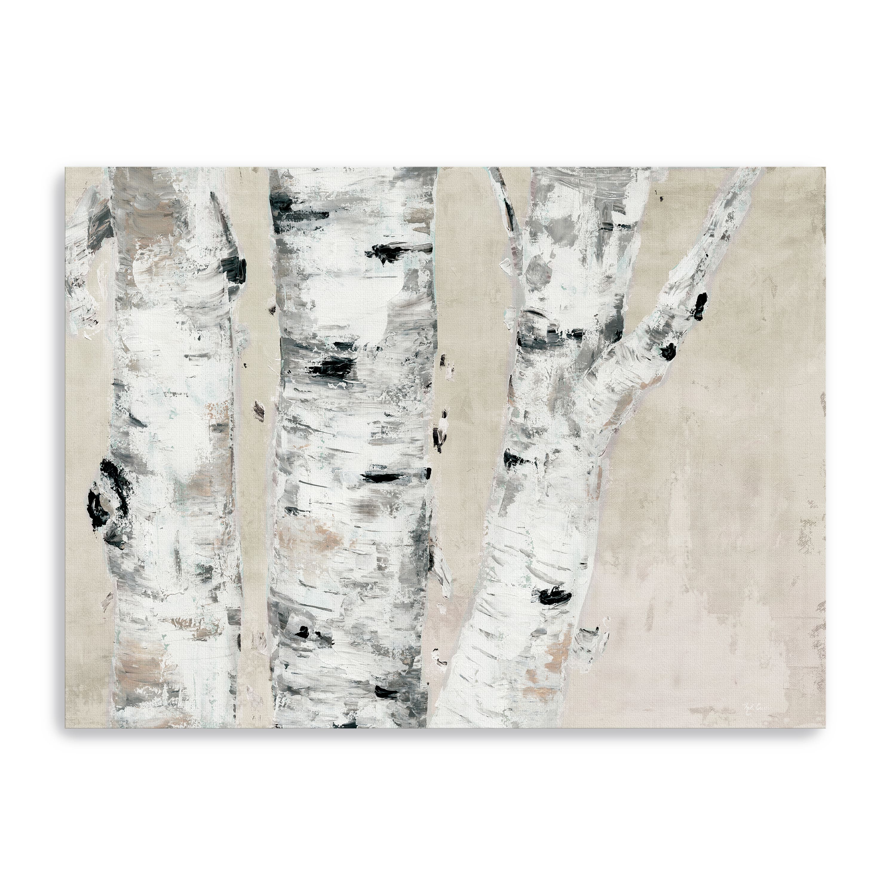 Birch Tree Close Up Neutral Canvas Giclee