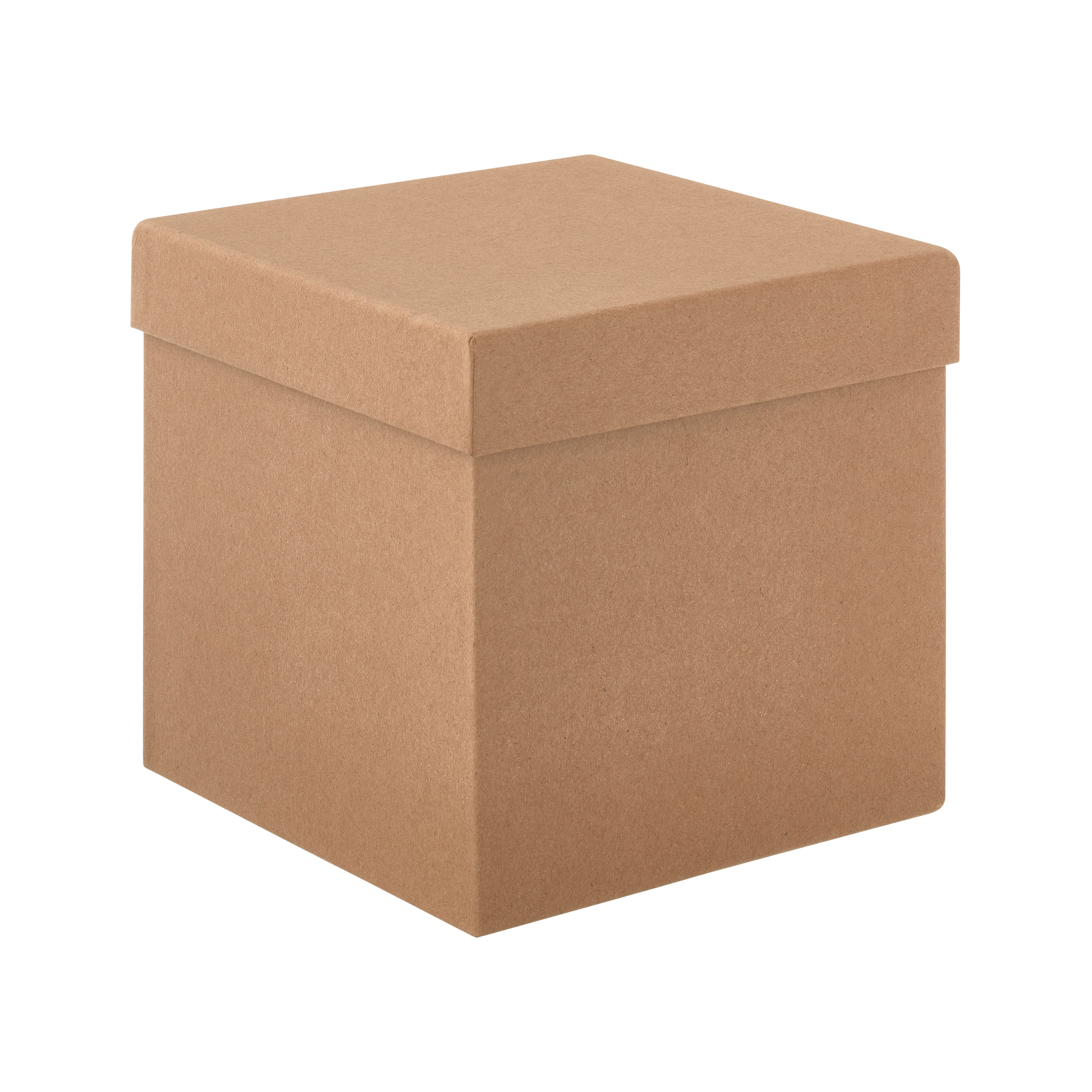 Kraft Treat Boxes 12 Pack