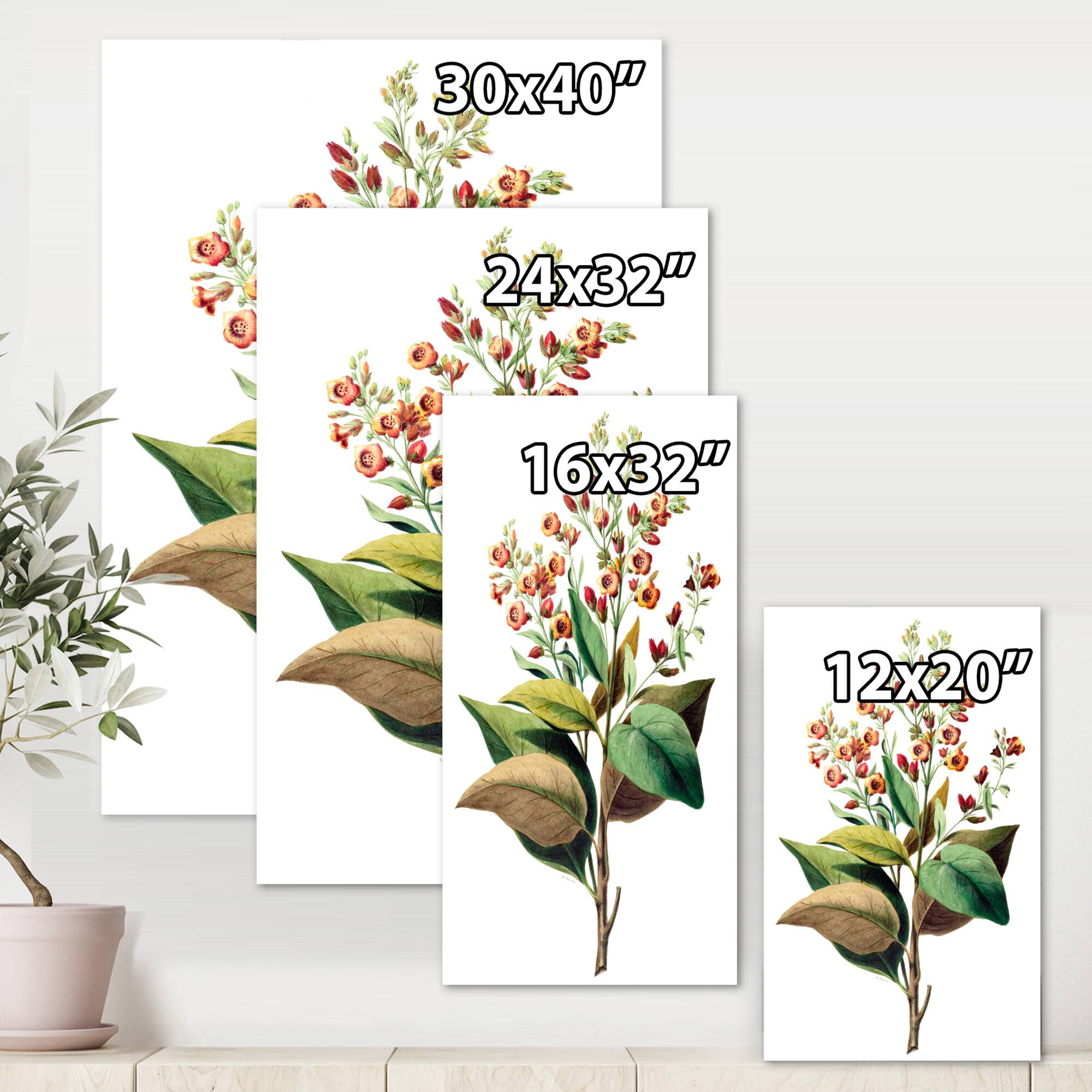 Designart - Vintage American Flowers II - Traditional Canvas Wall Art Print