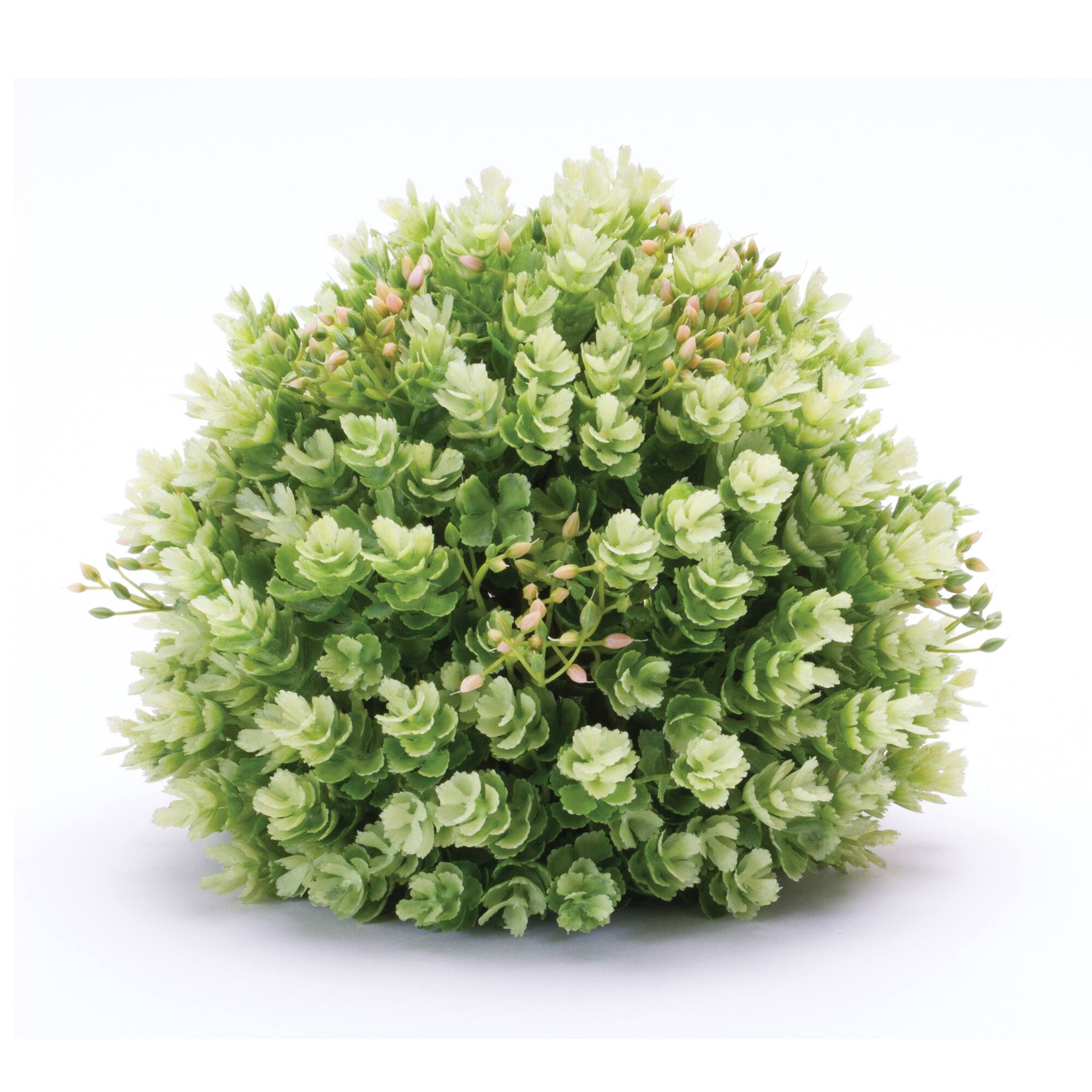 Foliage Half Orbs, 2ct.