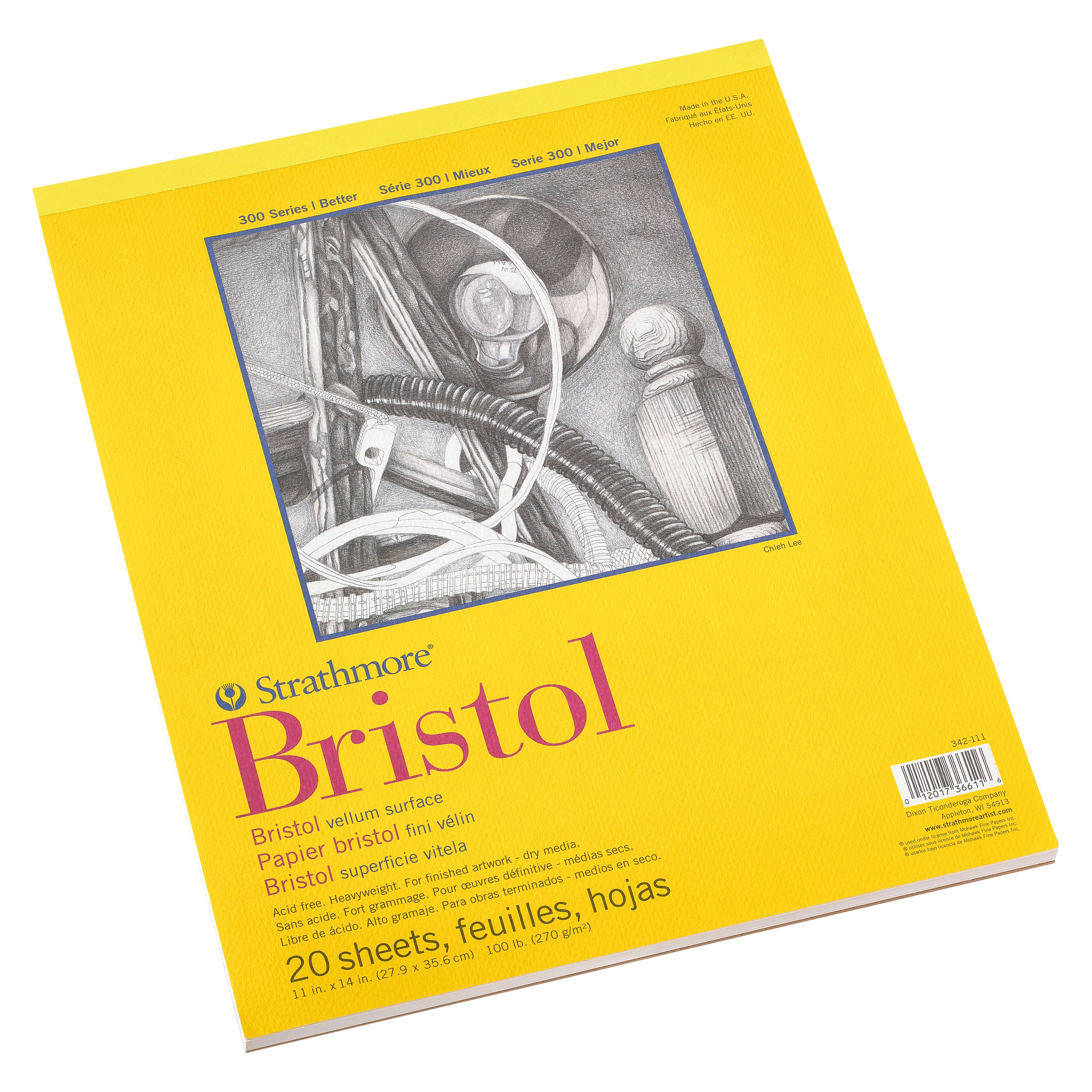 12 Pack: Strathmore® 300 Series Bristol Vellum Pad