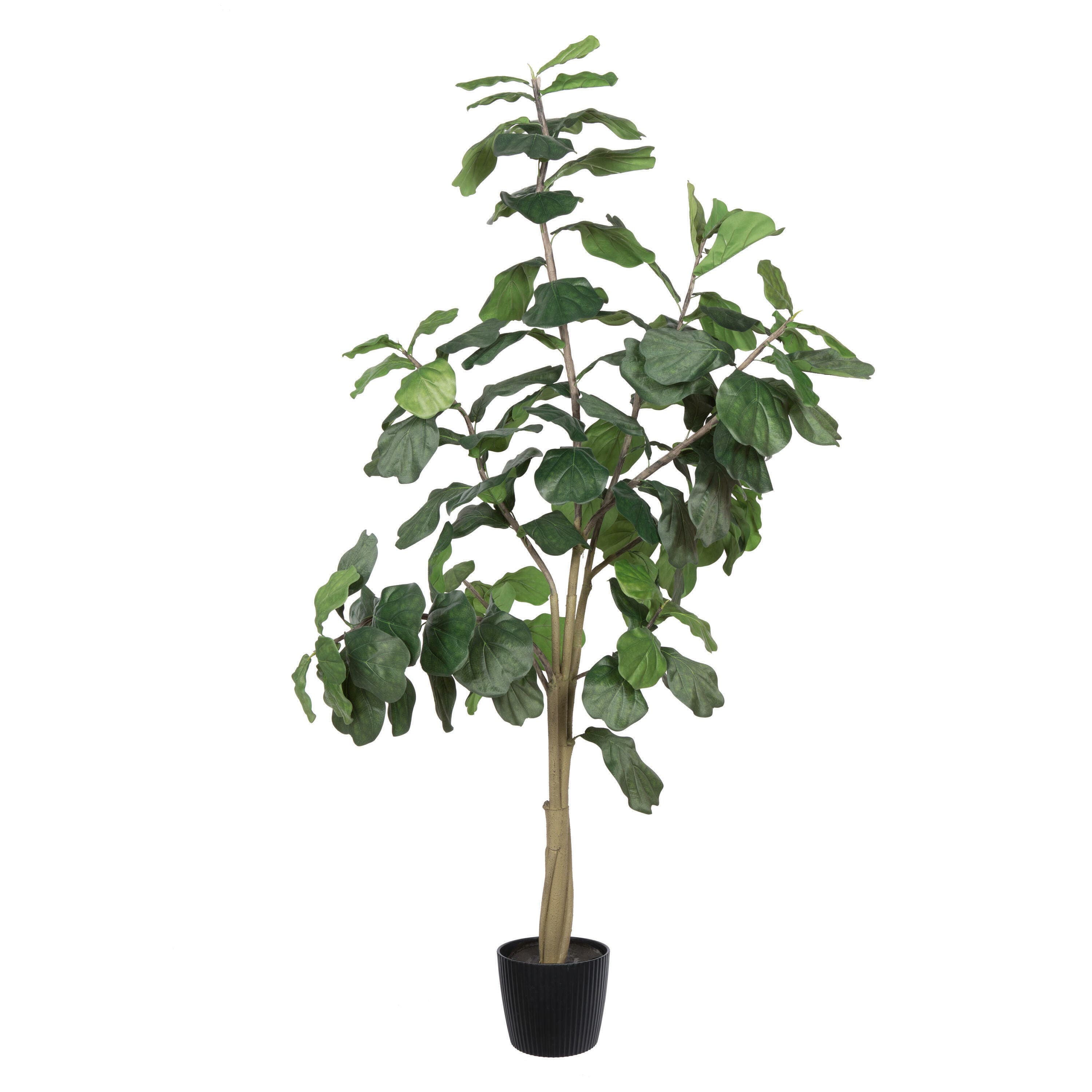 8ft. Potted Artificial Fiddle Tree