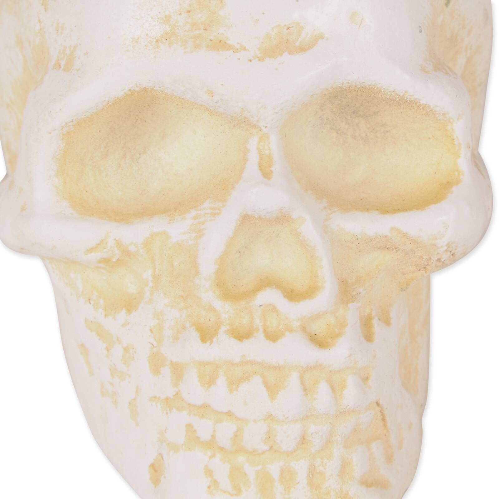 DII&#xAE; Human Skull Cast Iron Paperweight