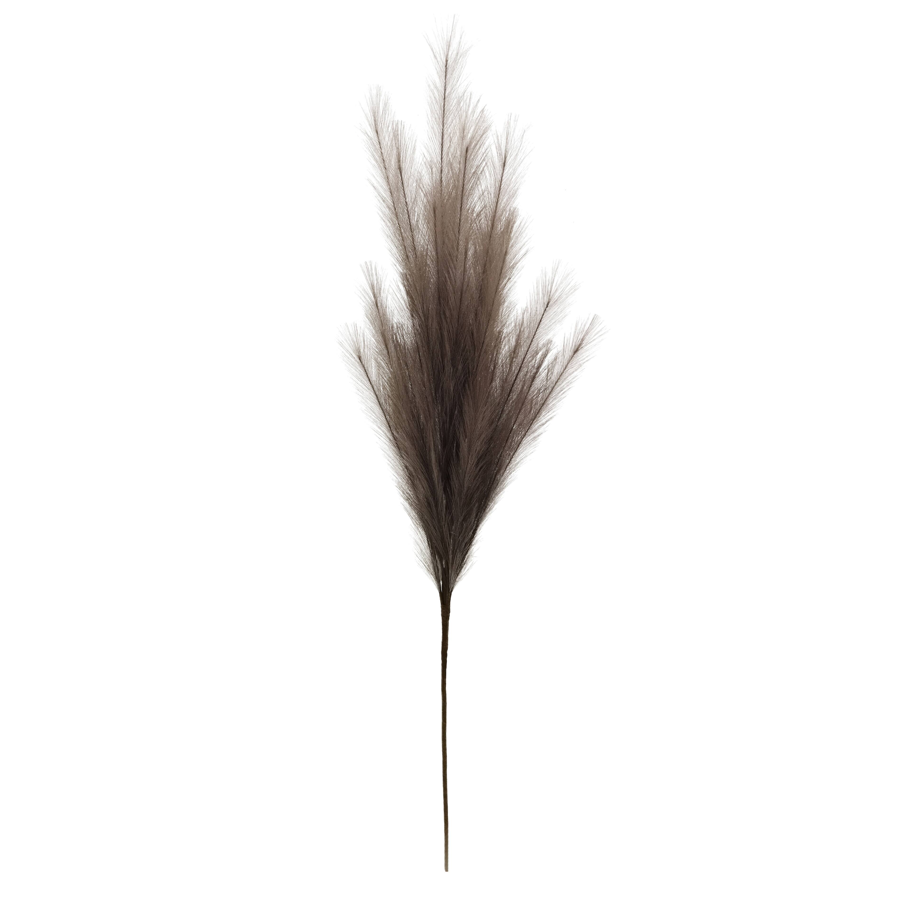 42&#x22; Light Brown Pampas Grass Stem by Ashland&#xAE;