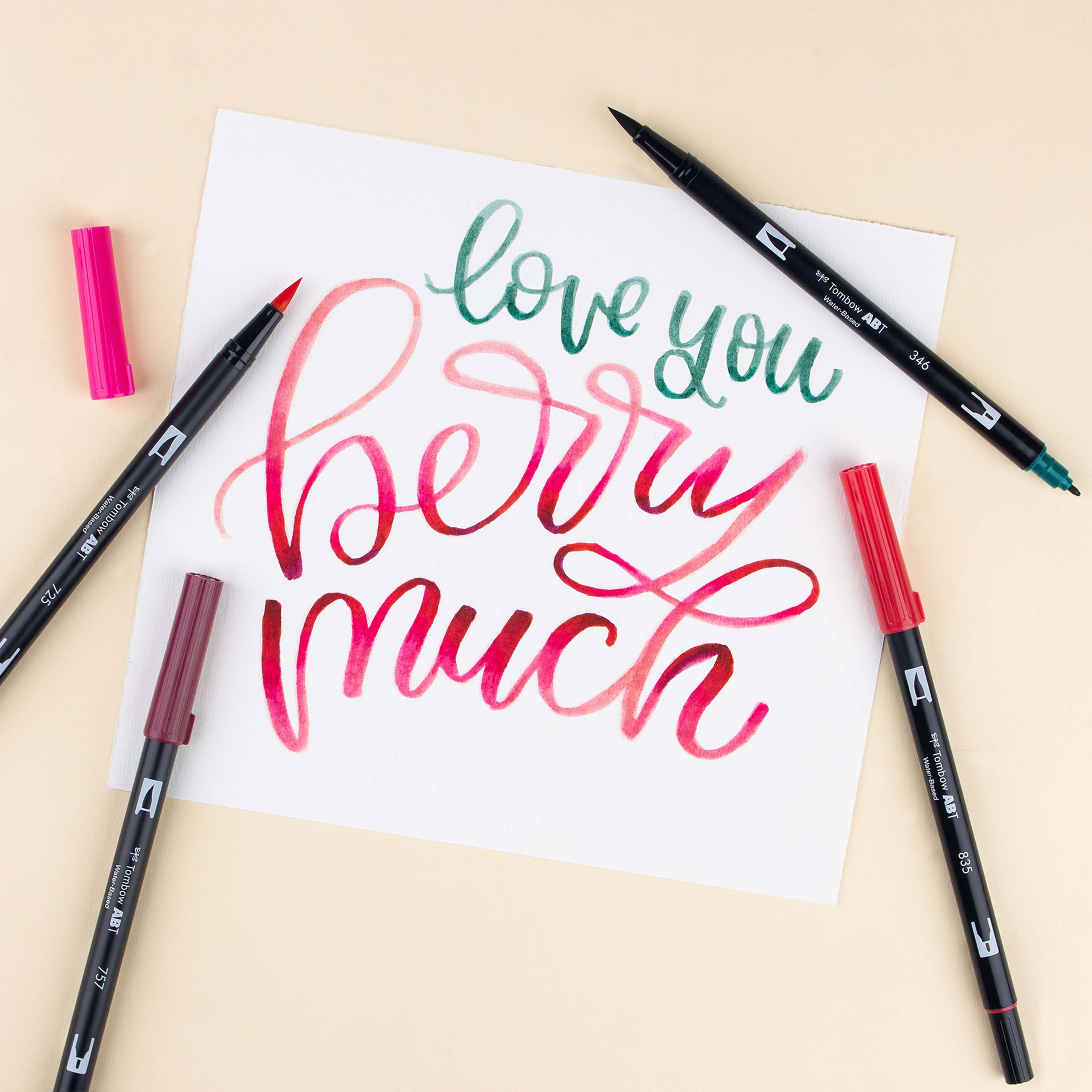 Tombow Very Berry Dual Brush Pen Set