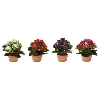 Faux Potted Kalanchoe Plant Set | Michaels