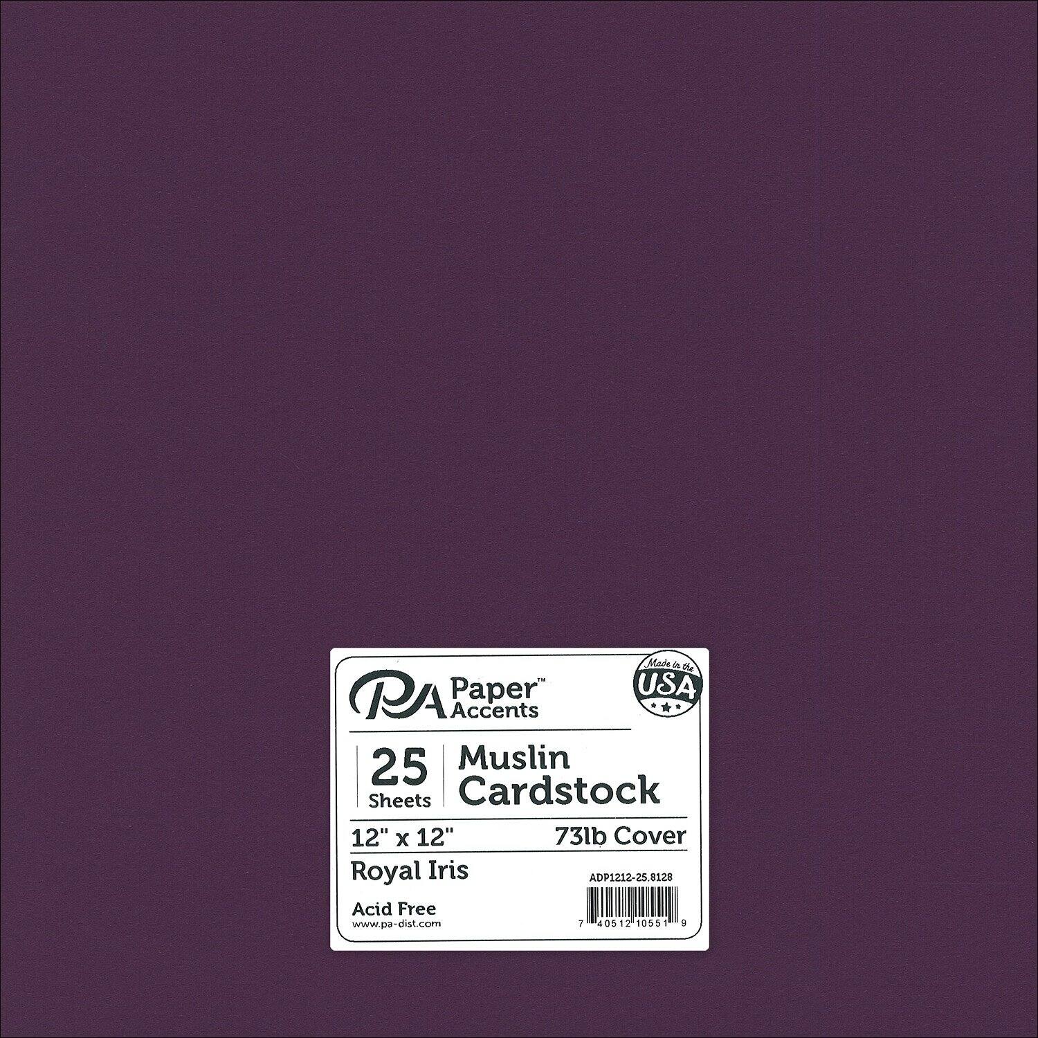 PA Paper™ Accents 12" x 12" Muslin 73lb. Cardstock, 25 Sheets | Michaels