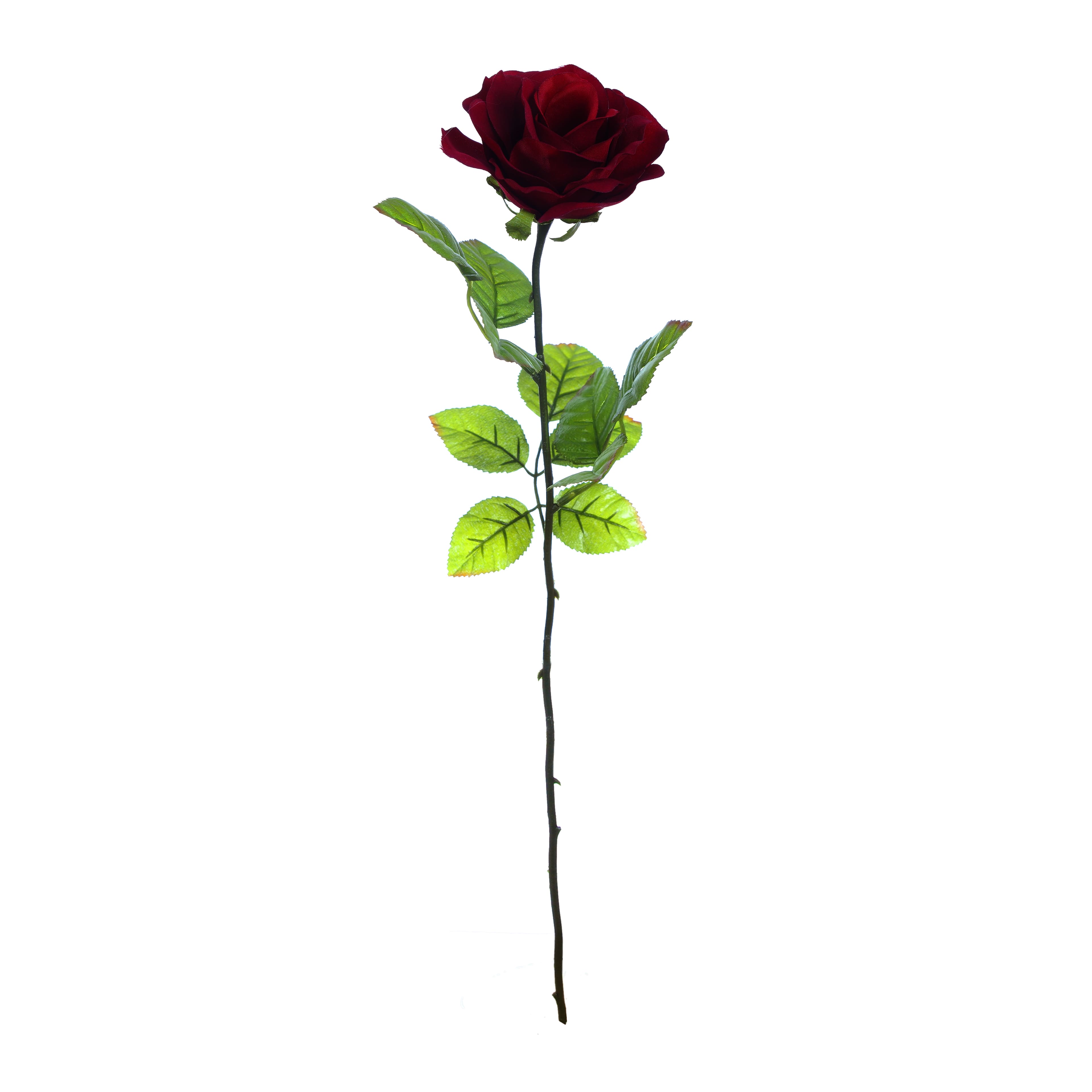 Burgundy Holland Rose Stem by Ashland&#xAE;