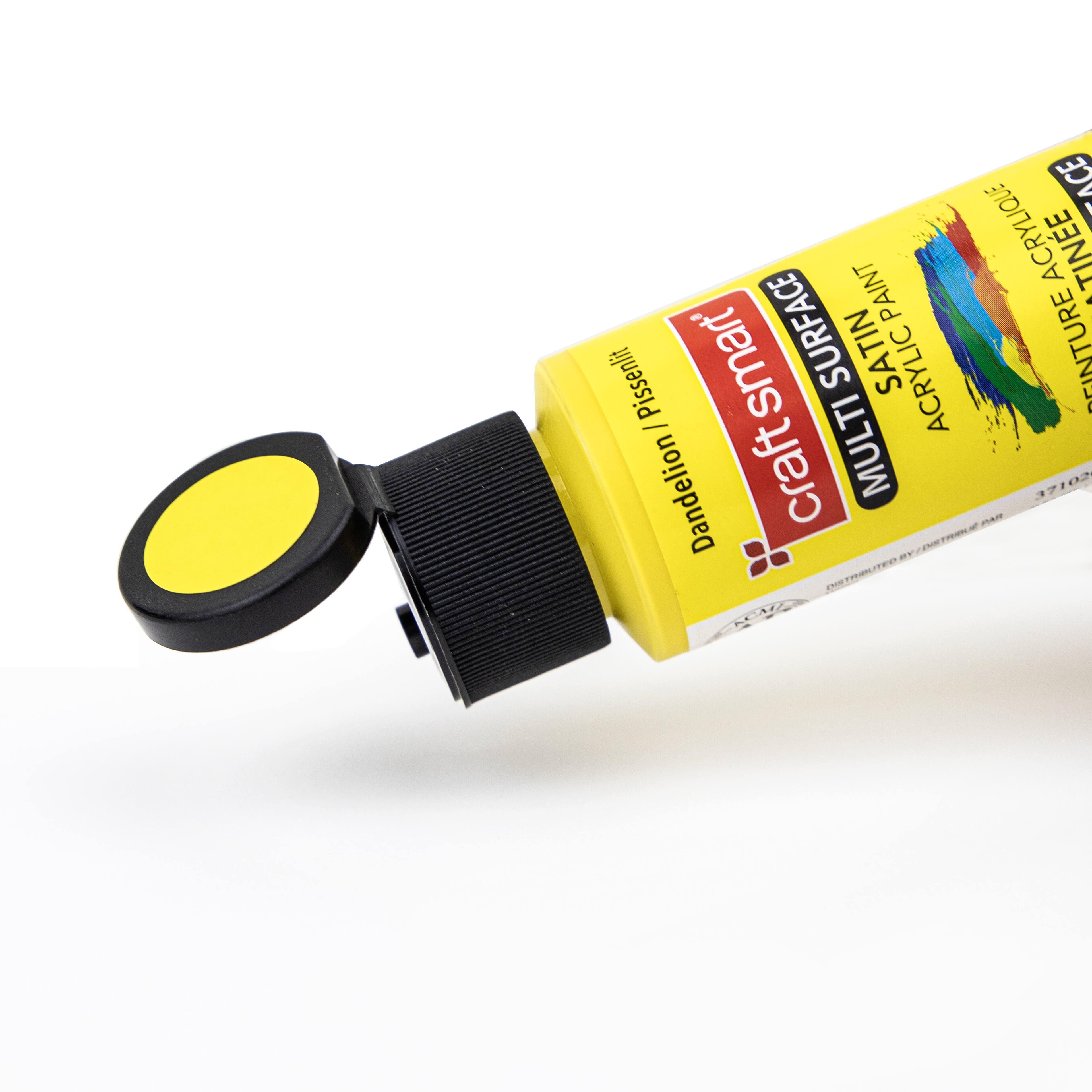 Peinture acrylique satinée multisurface de première qualité Craft Smart