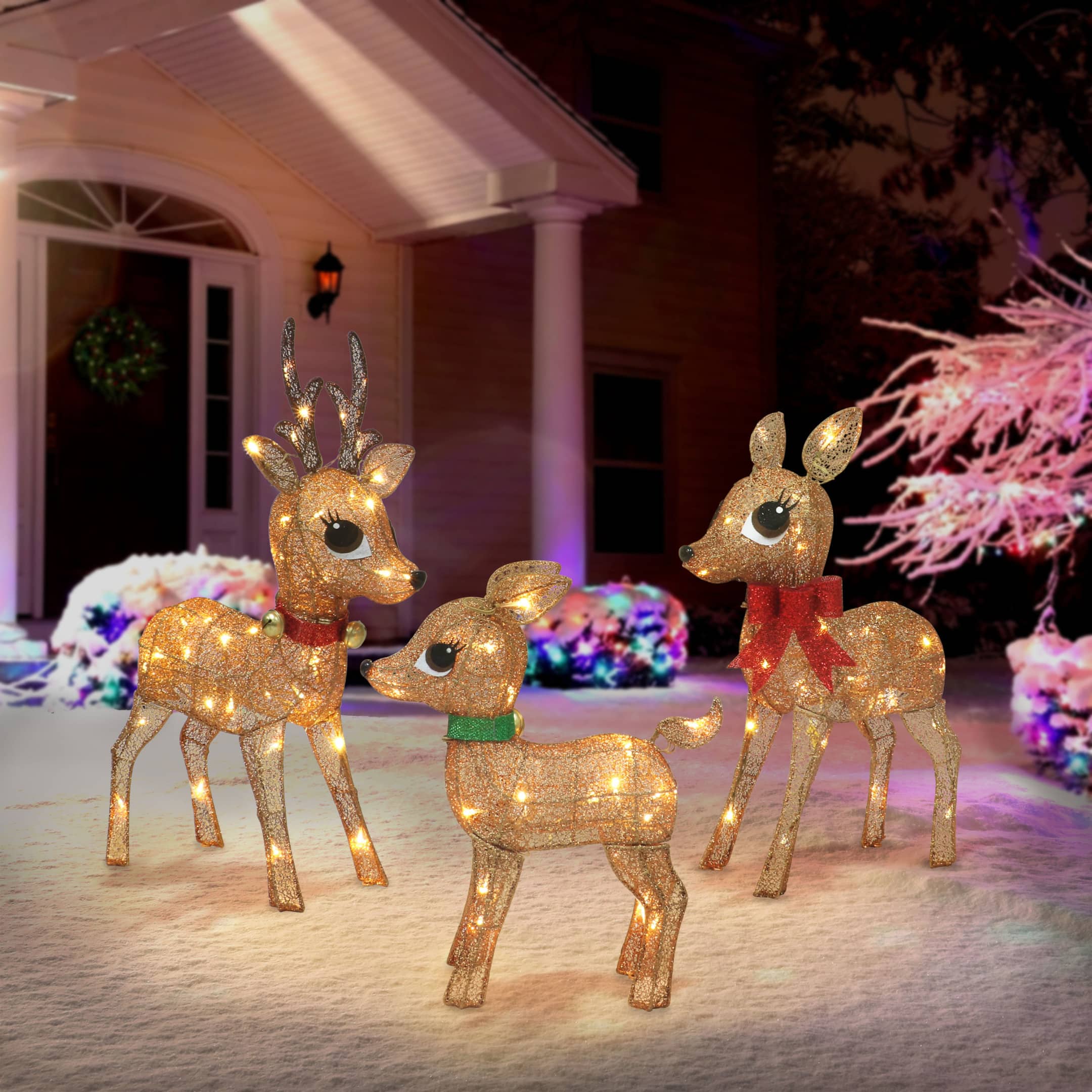 Lighted Outdoor Wire Frame Deer Set