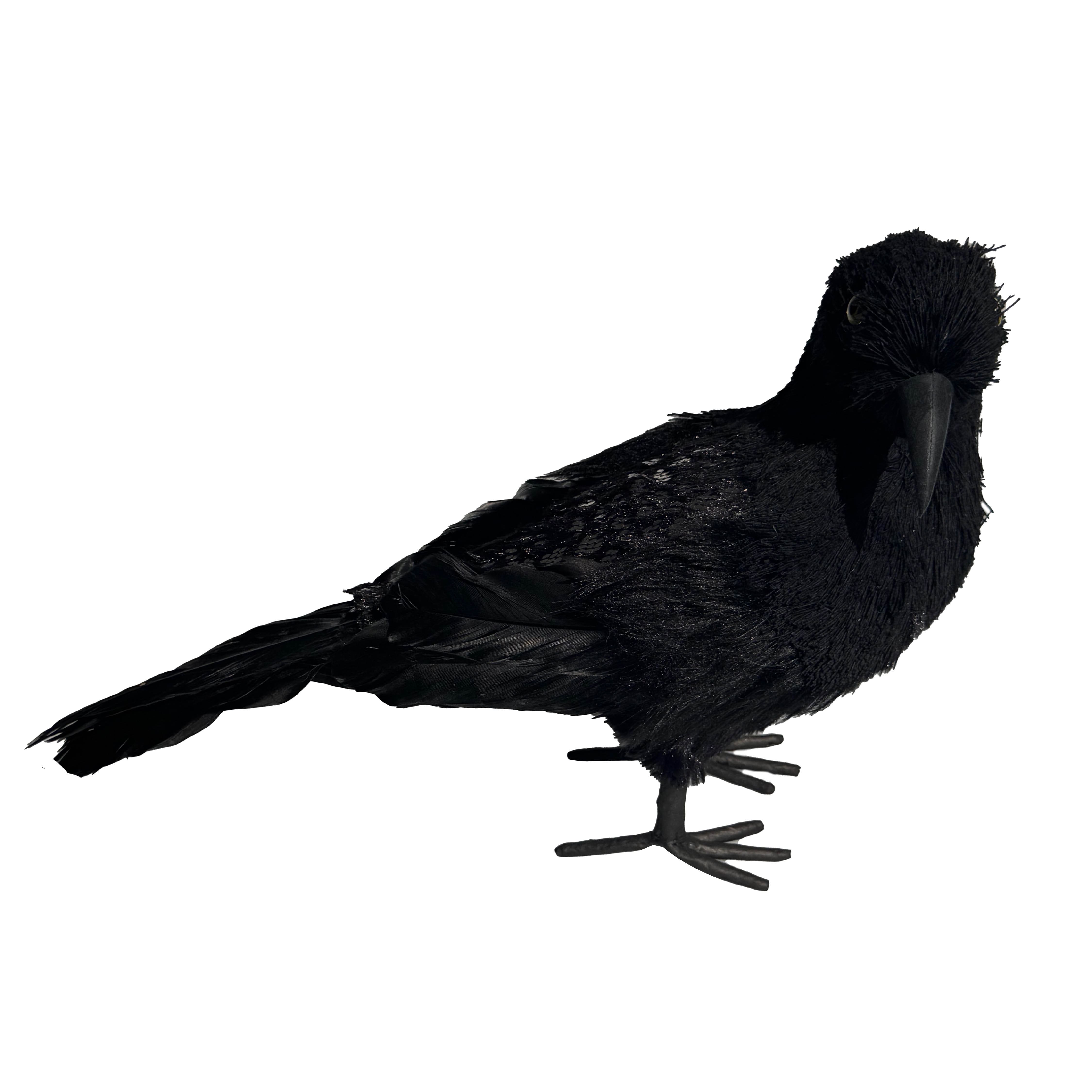 10.75&#x22; Crow with Glitter by Ashland&#xAE;