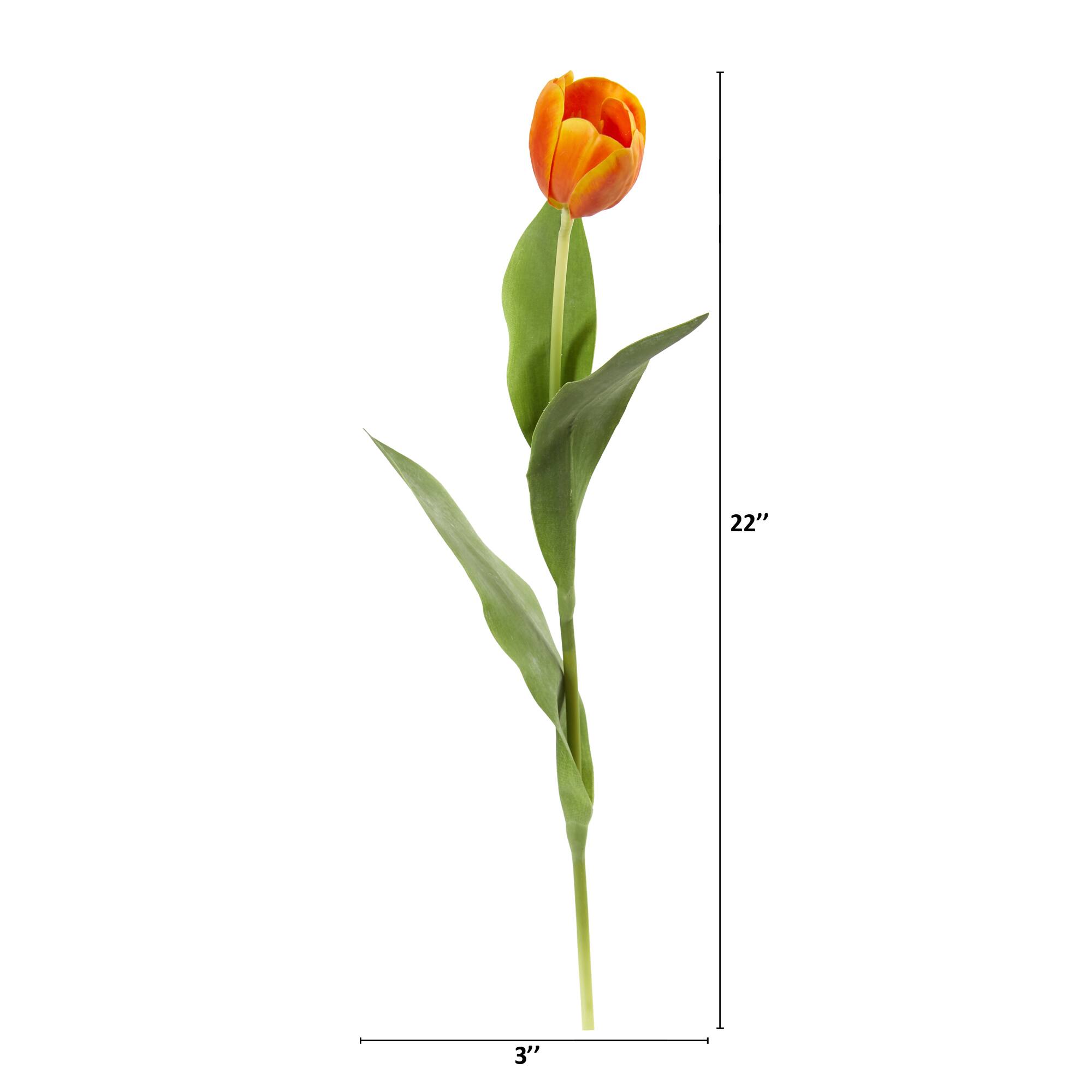 Orange Tulip Stem, 8ct.