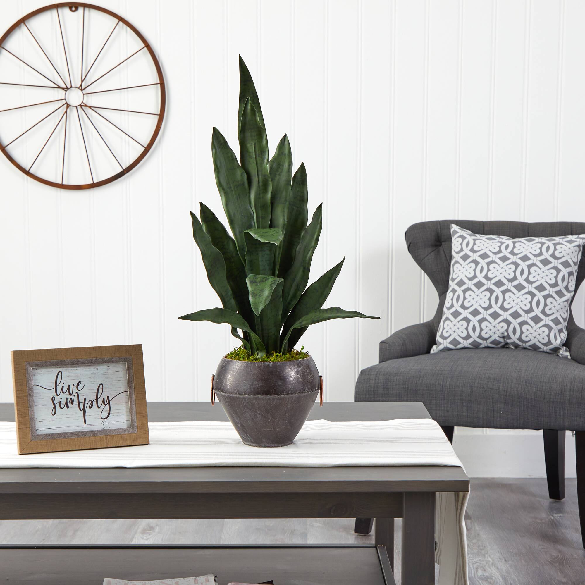 2.5ft. Snake Plant in Decorative Metal Bowl