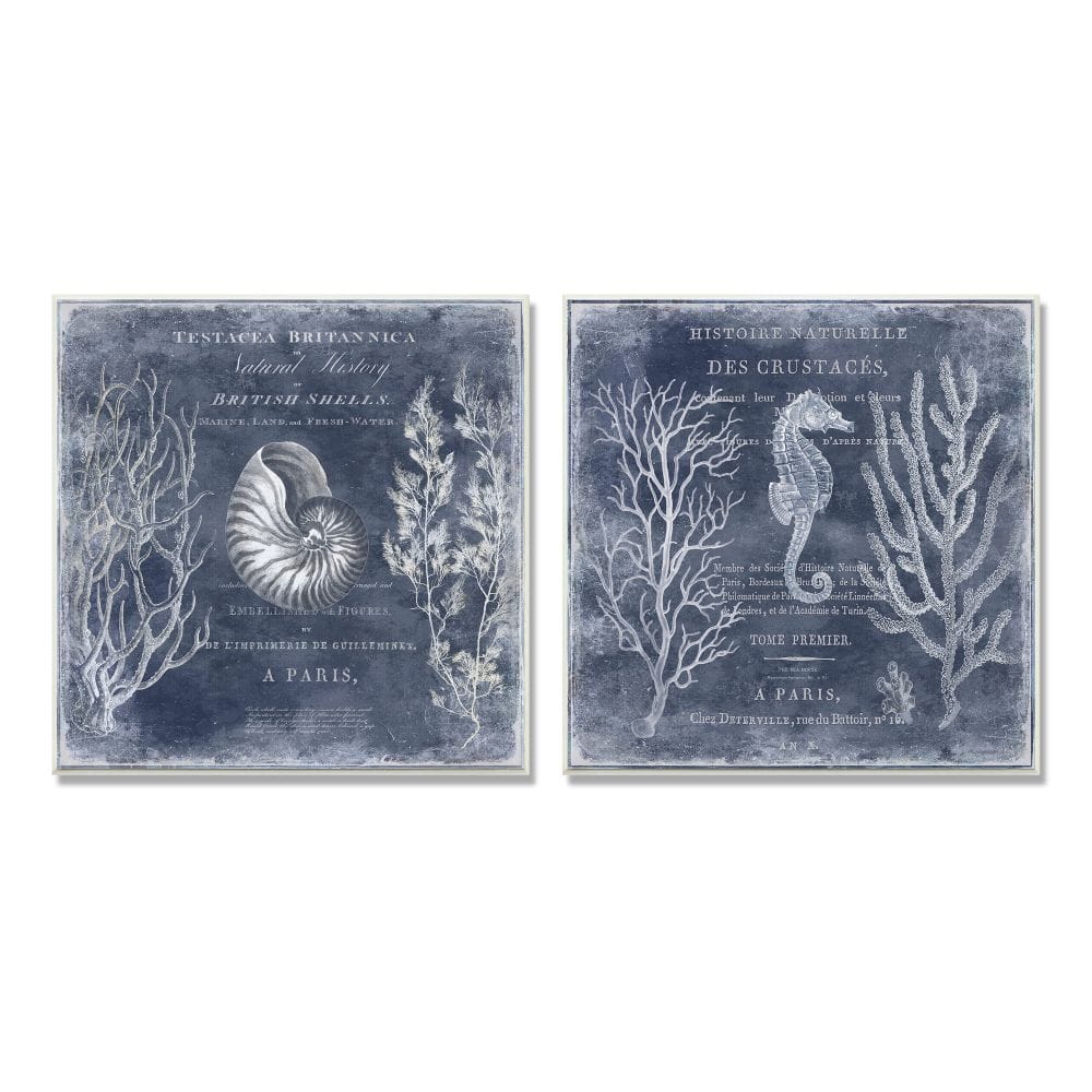 Stupell Industries Vintage European Shells and Seahorse Design,12" x 12"