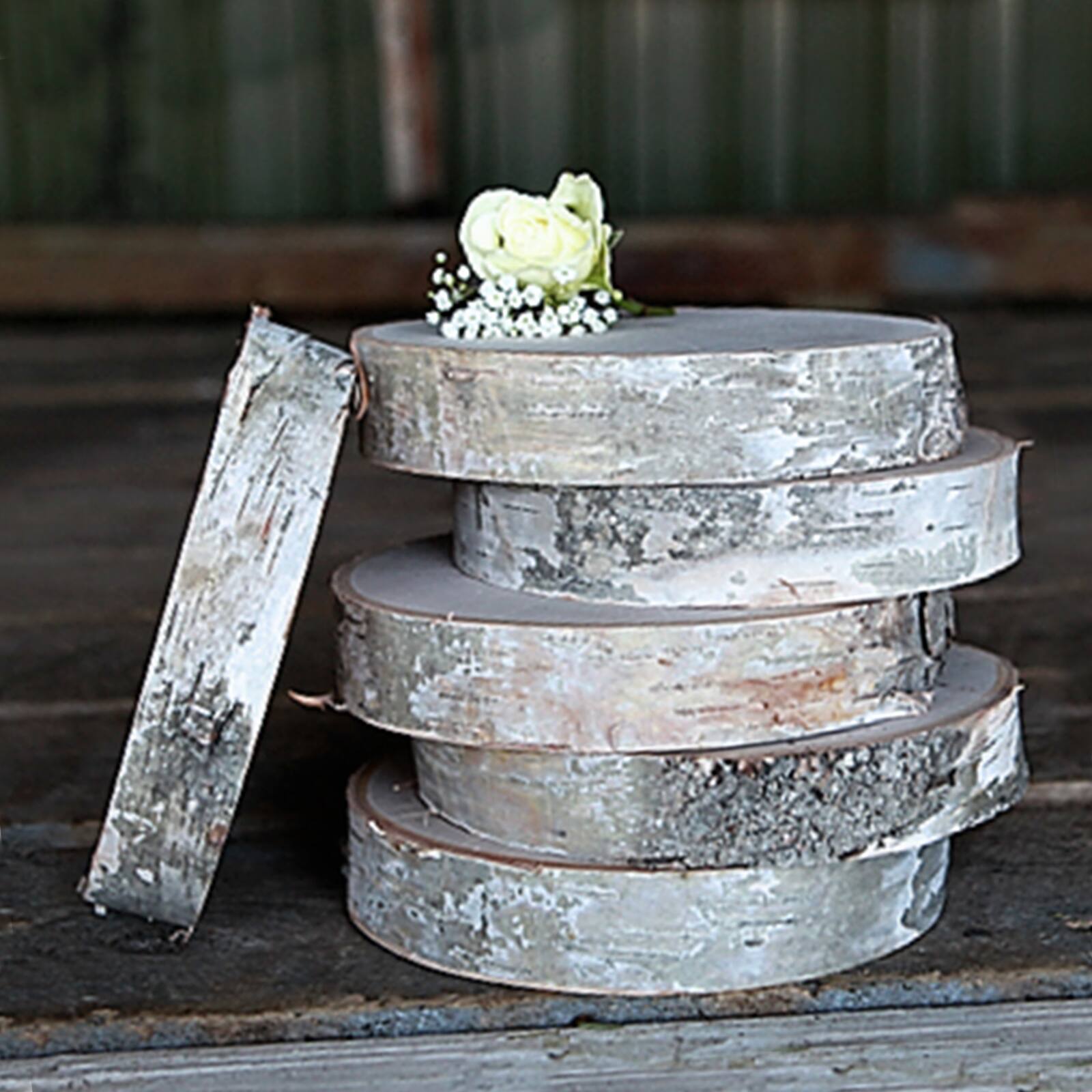 Wilson® Enterprises Birch Coasters, 8ct.