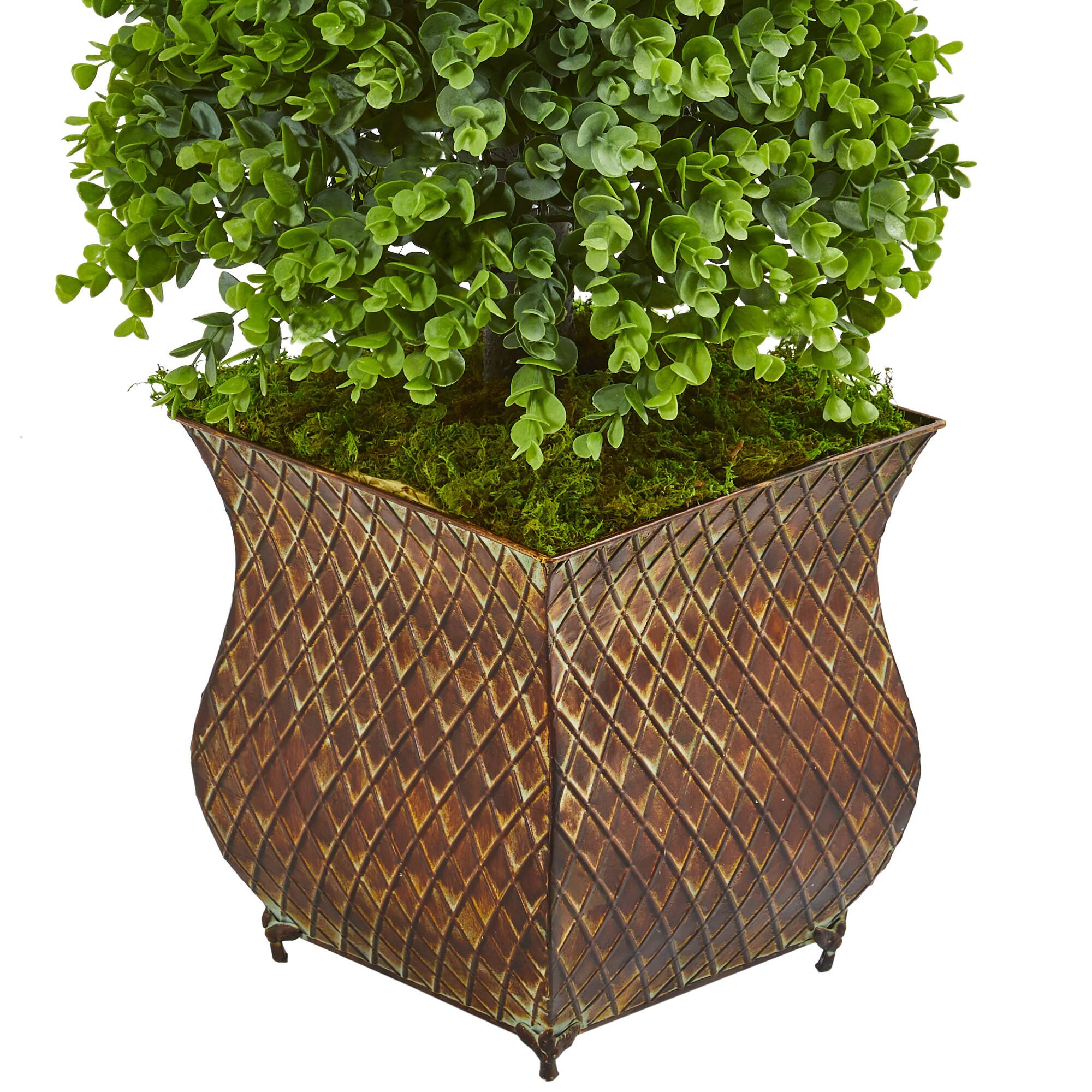 3.5ft. Eucalyptus Cone Topiary Tree in Metal Planter
