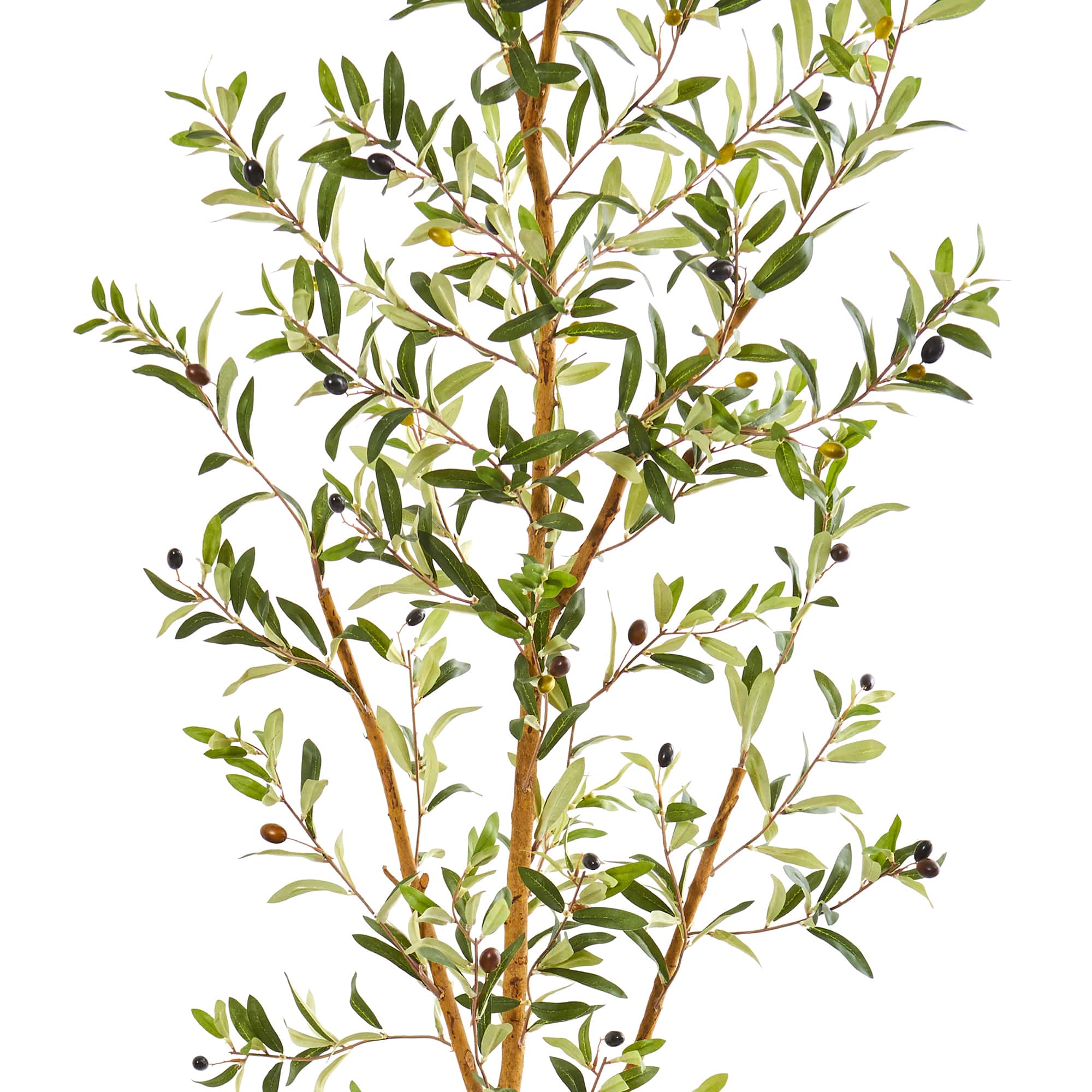 7.5ft. Olive Tree in Decorative Planter