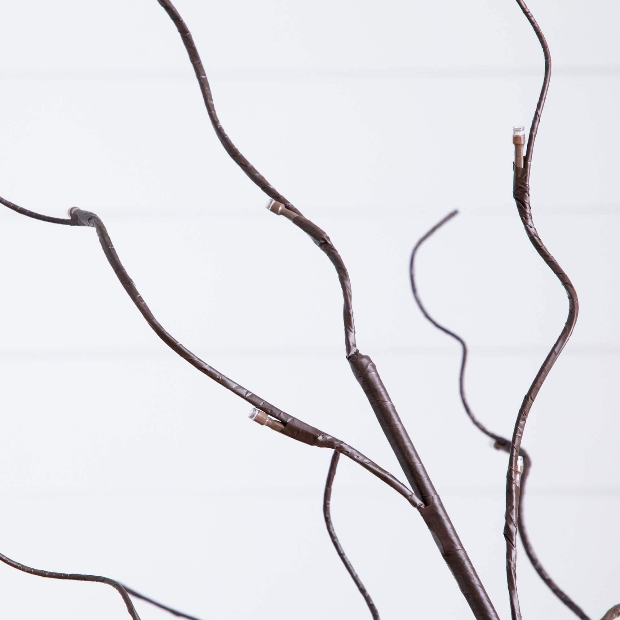 3ft. 5ft. 6ft. Artificial Brown Birch Trees with Warm White LED Lights - Set of 3